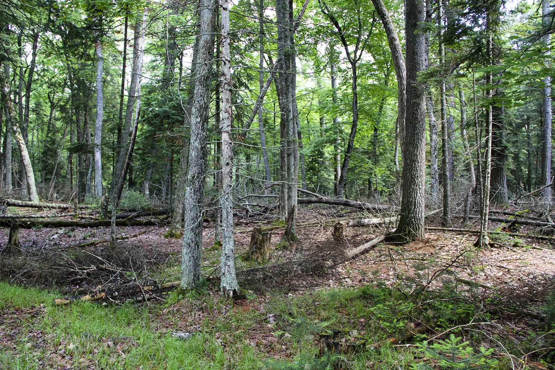 Eaglewatch property picture 28 of 52