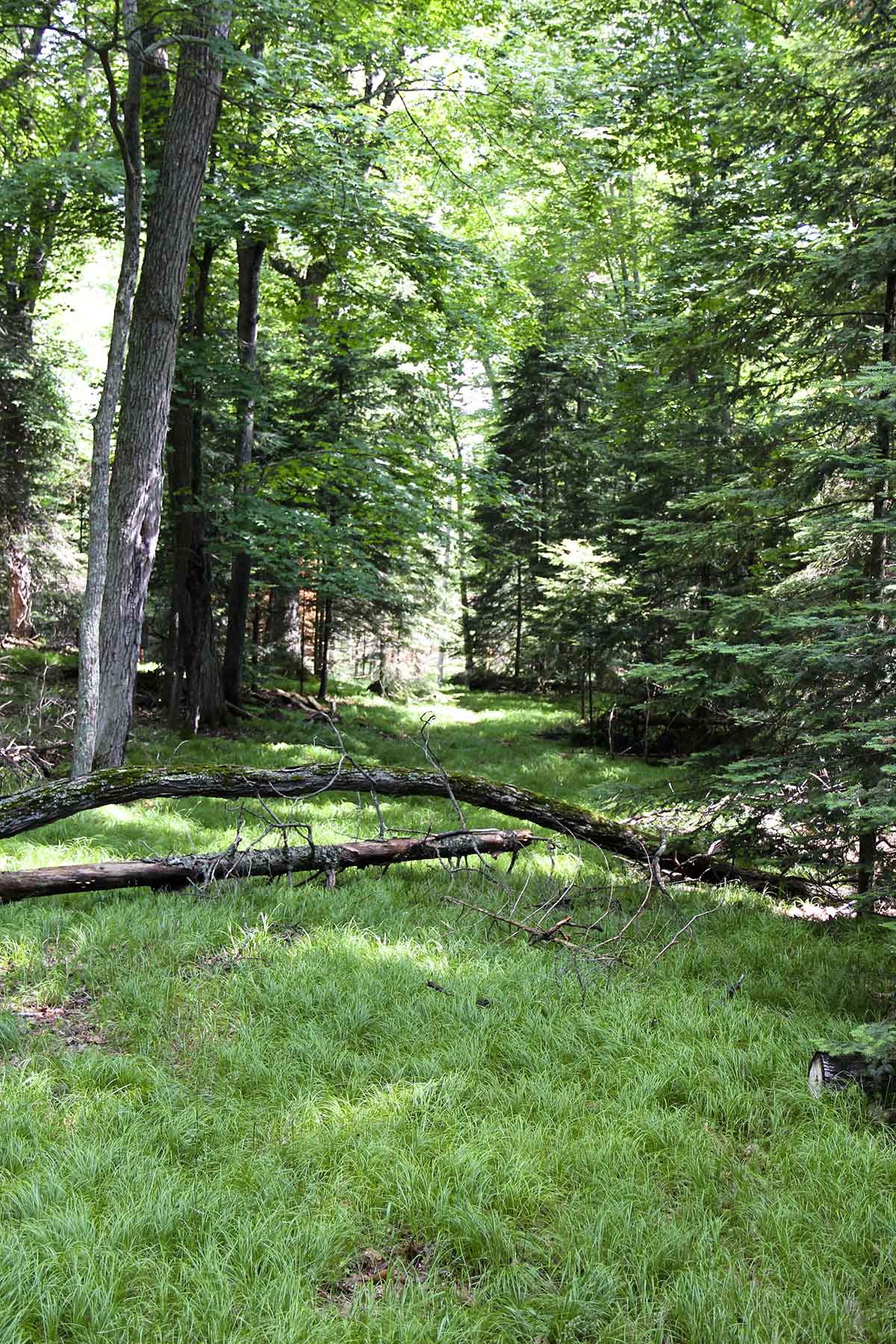 Eaglewatch property picture 27 of 52