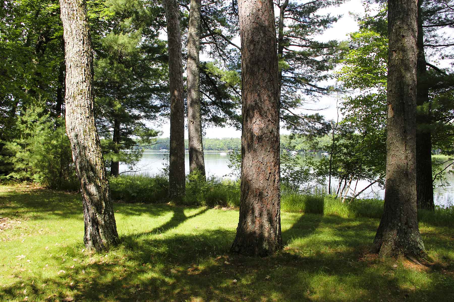 Eaglewatch property picture 50 of 52