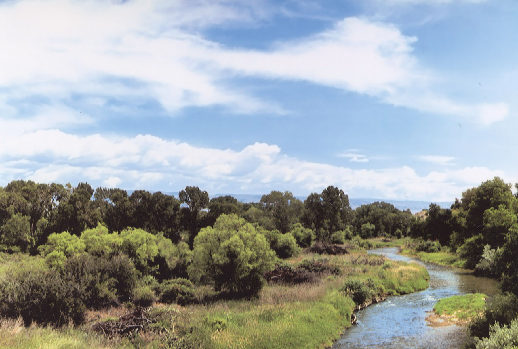 Wyoming Horse Ranch property picture 73 of 76