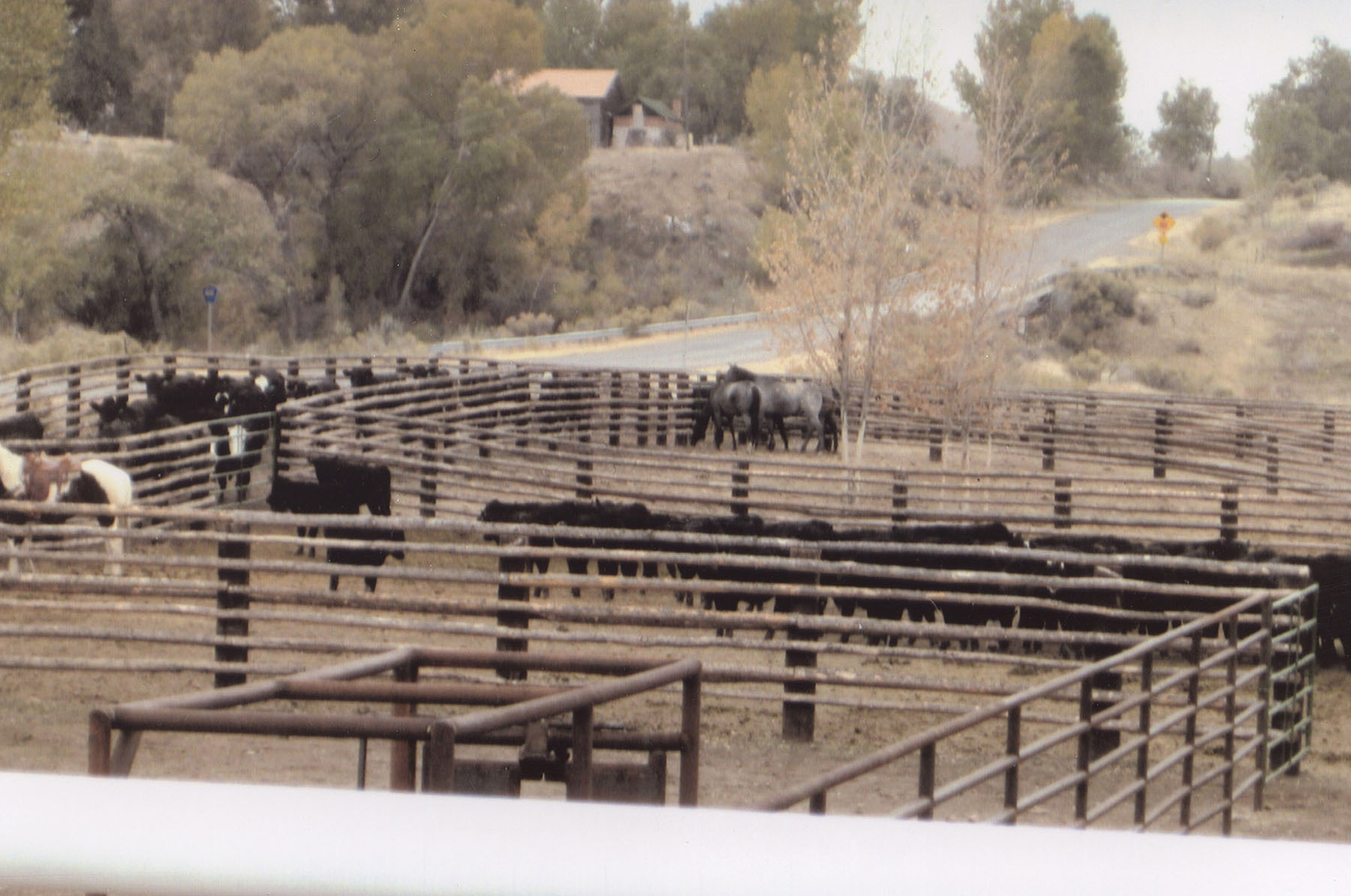 Wyoming Horse Ranch property picture 67 of 76