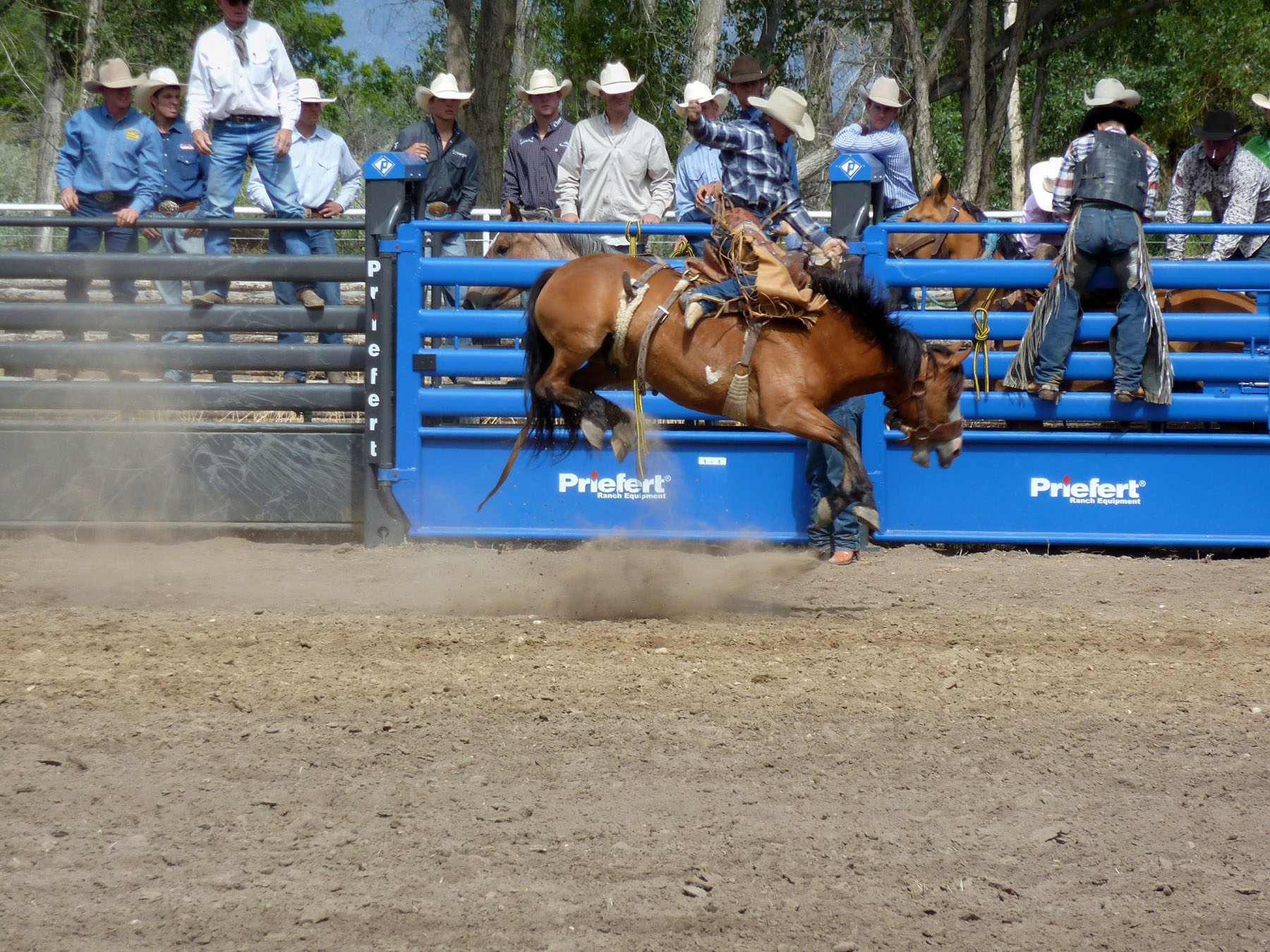 Wyoming Horse Ranch property picture 63 of 76