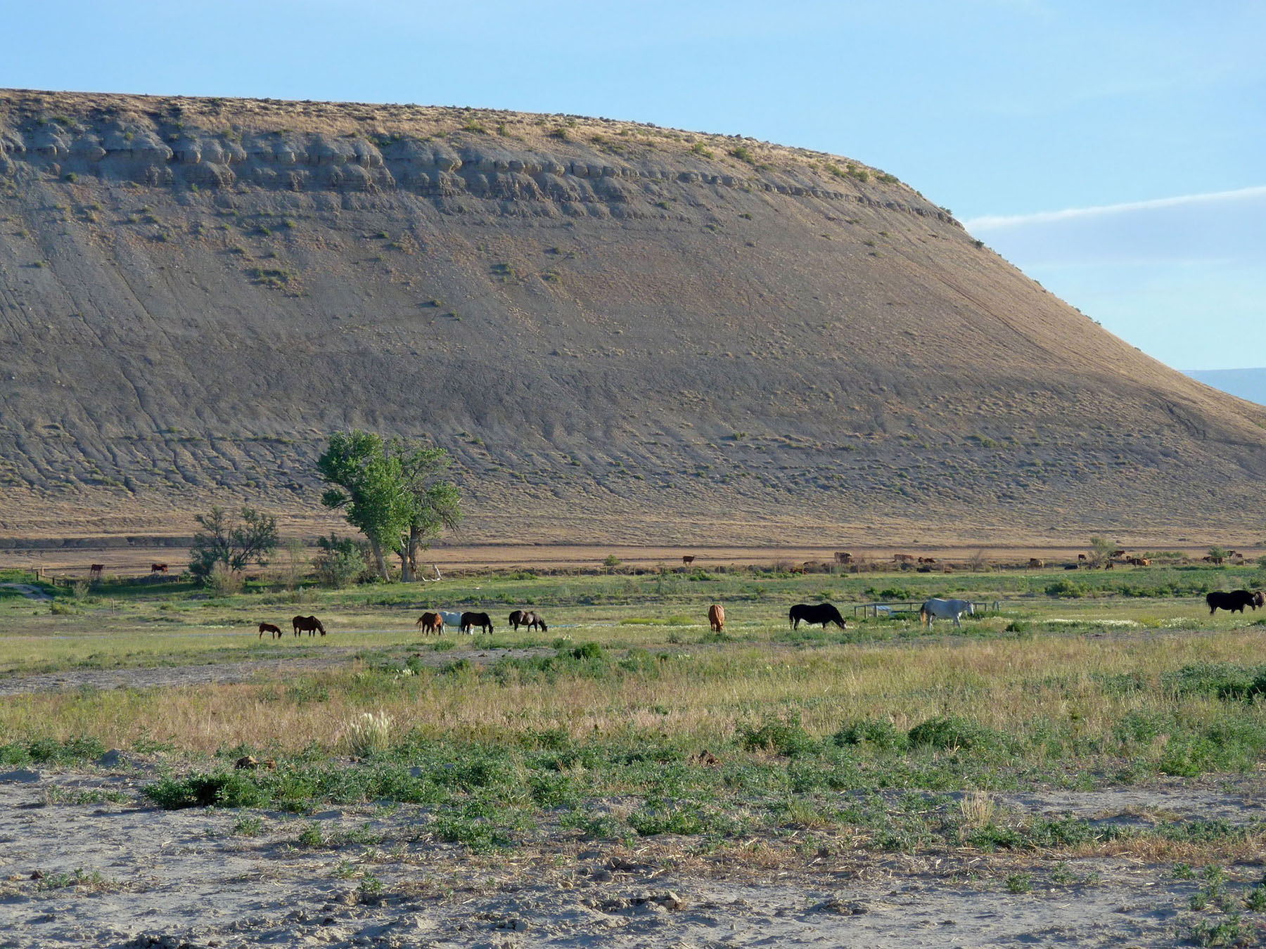 Wyoming Horse Ranch property picture 59 of 76