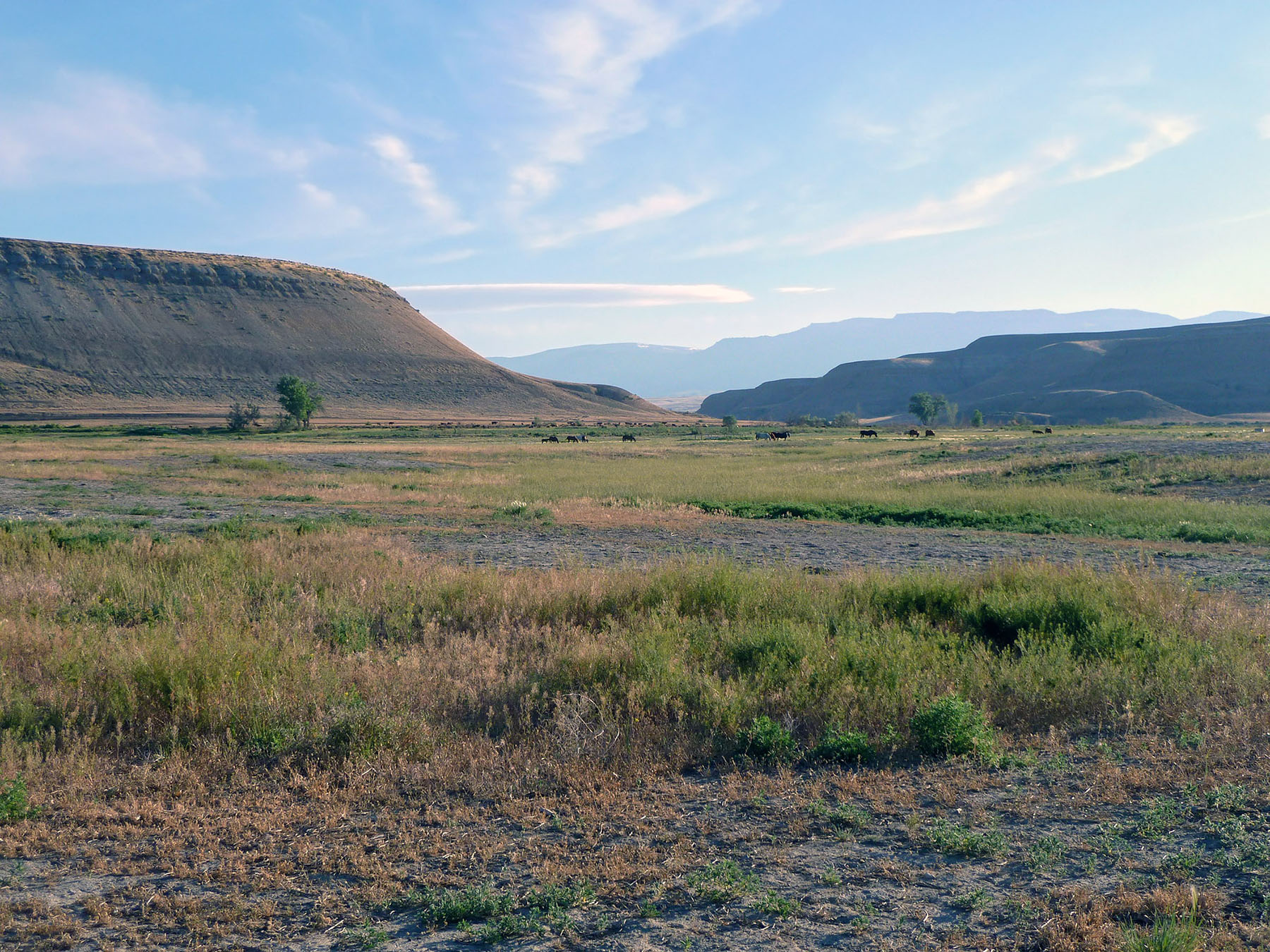 Wyoming Horse Ranch property picture 58 of 76
