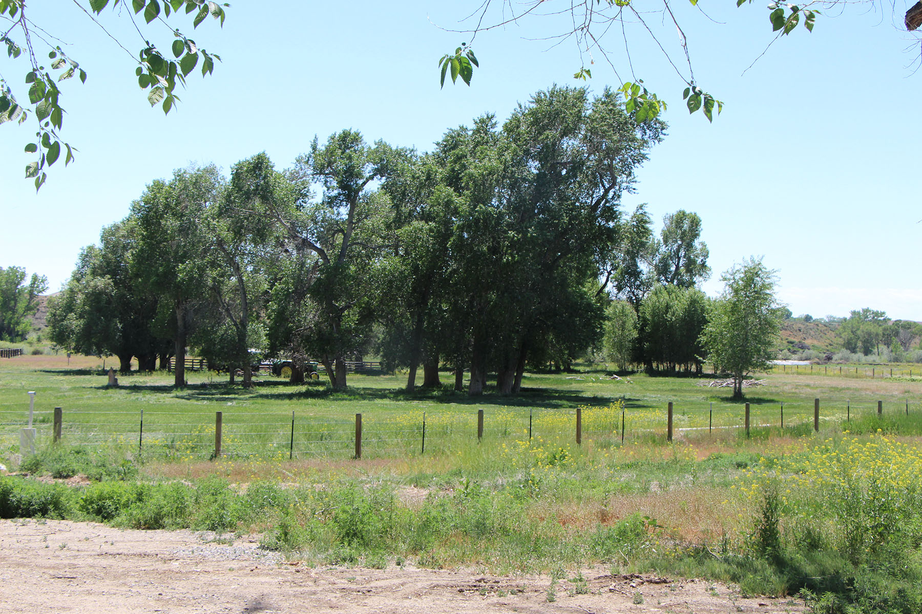 Wyoming Horse Ranch property picture 51 of 76
