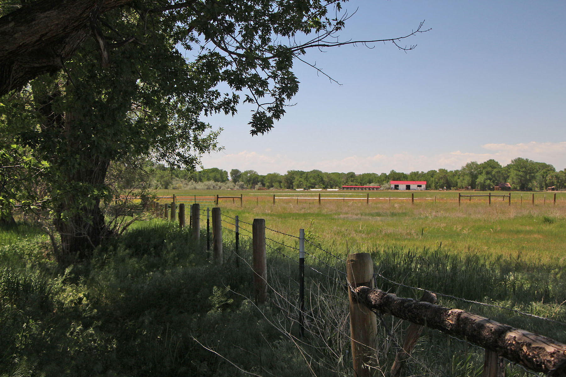 Wyoming Horse Ranch property picture 50 of 76