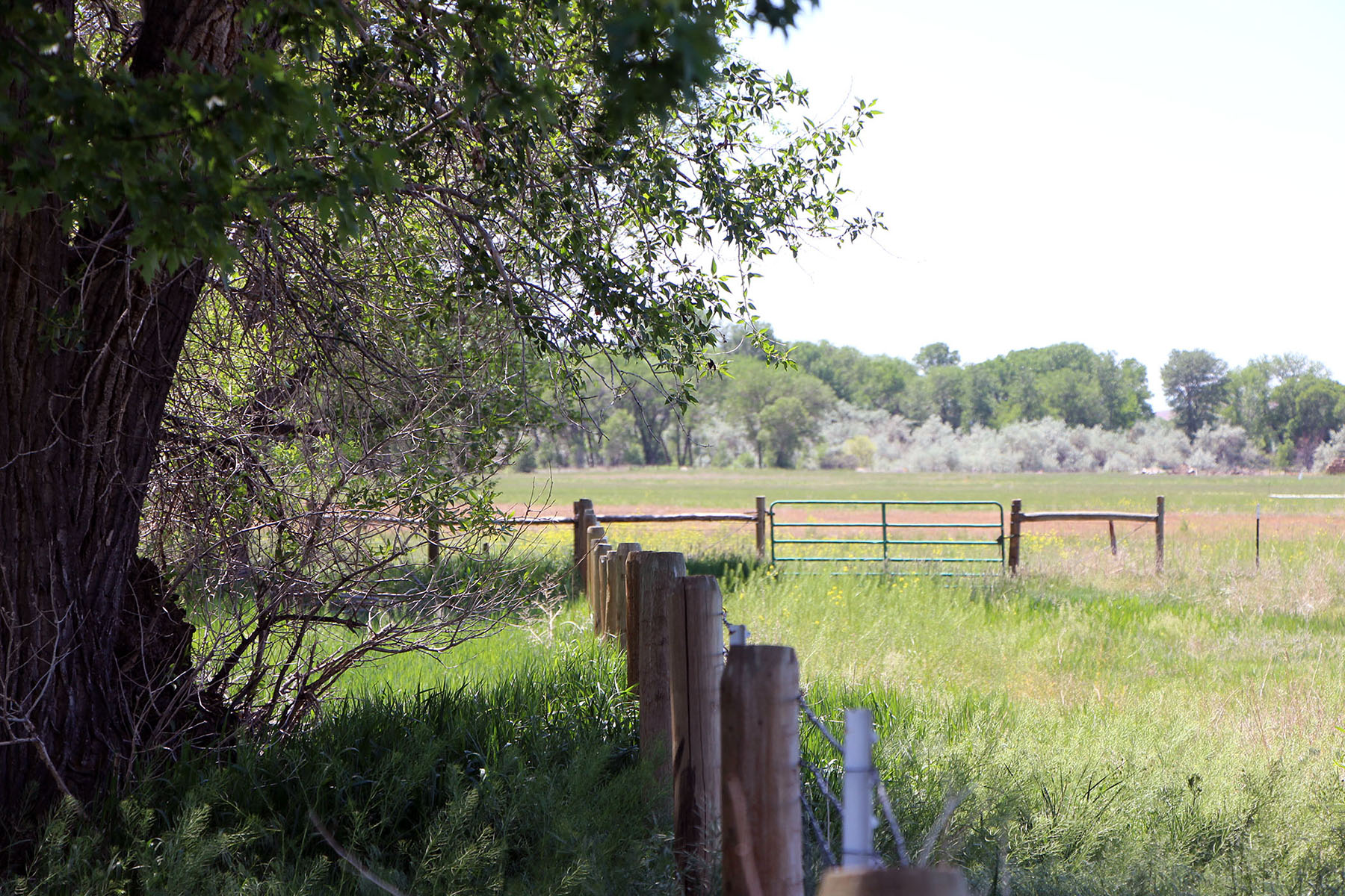 Wyoming Horse Ranch property picture 49 of 76