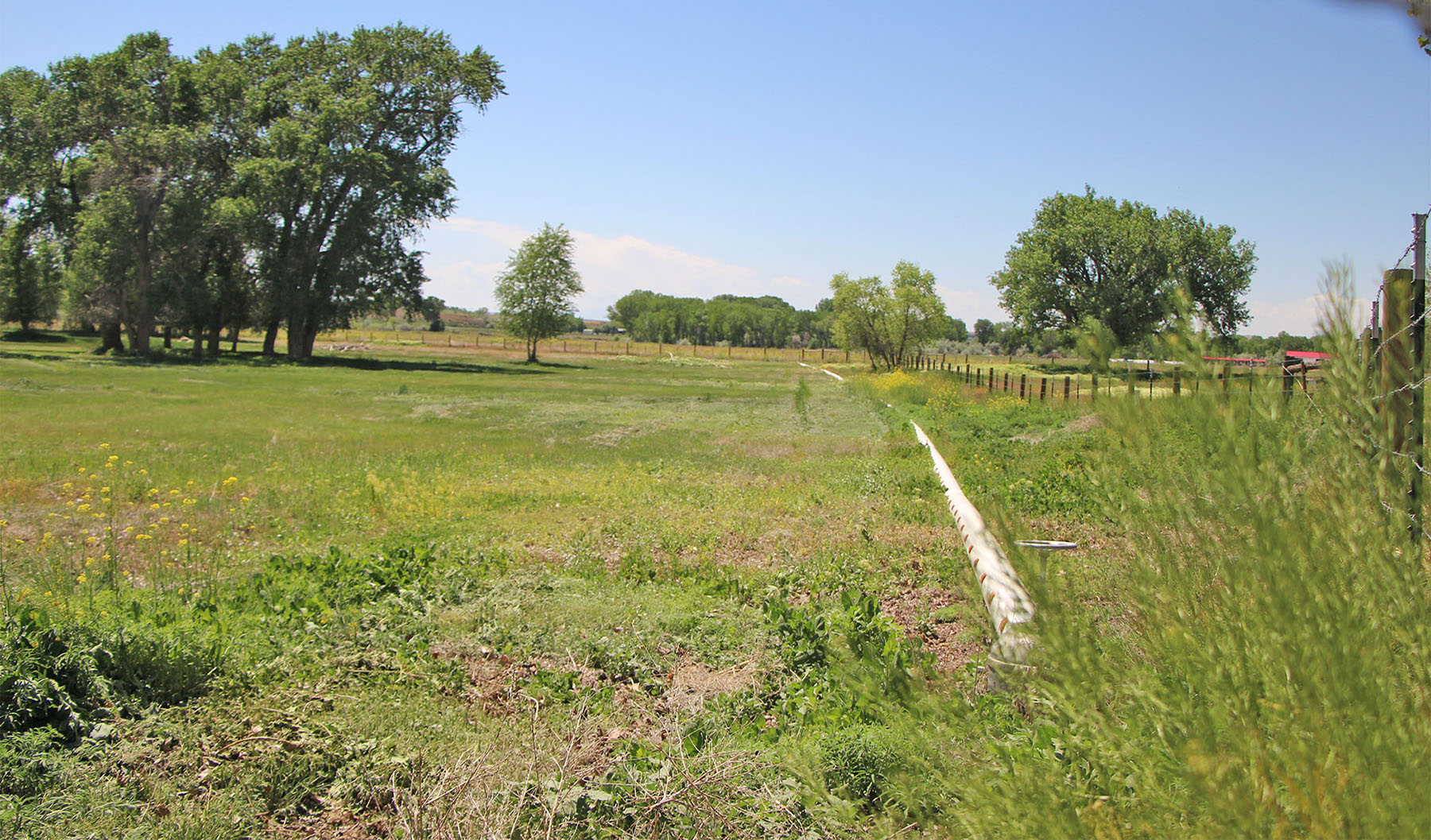 Wyoming Horse Ranch property picture 47 of 76