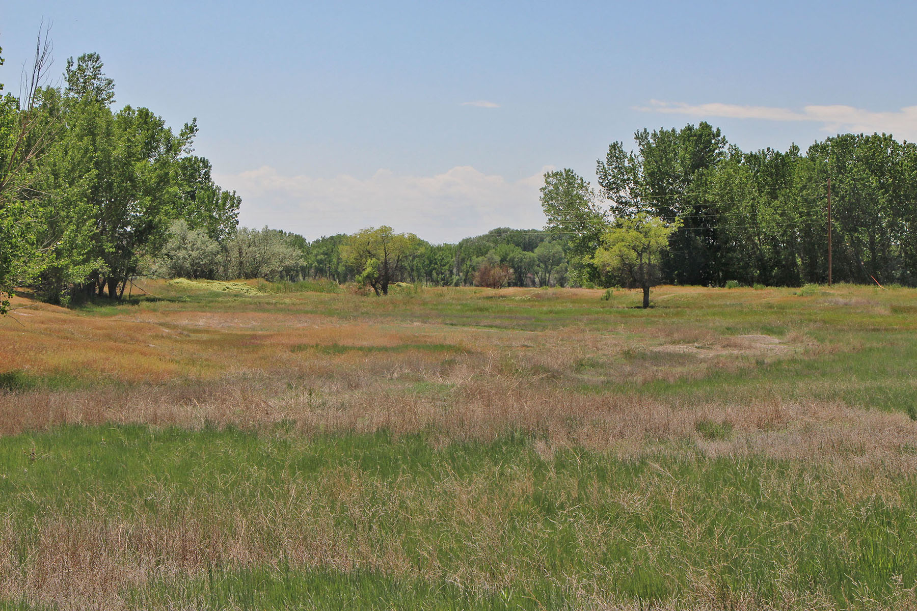 Wyoming Horse Ranch property picture 37 of 76