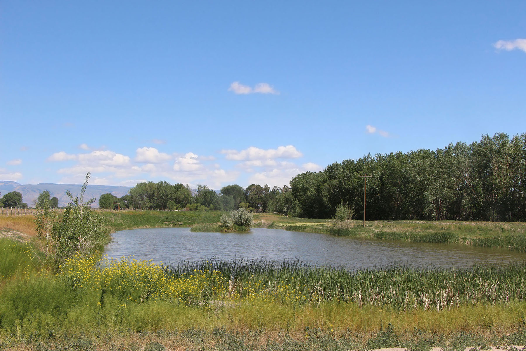 Wyoming Horse Ranch property picture 35 of 76