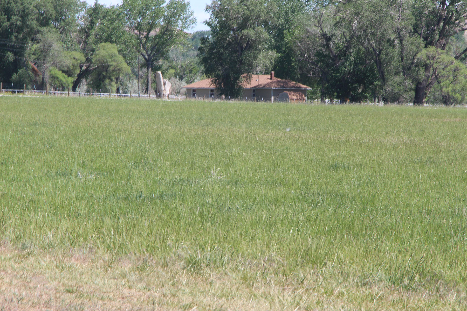 Wyoming Horse Ranch property picture 34 of 76