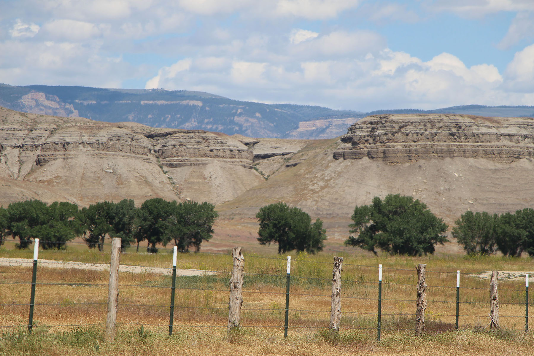 Wyoming Horse Ranch property picture 22 of 76