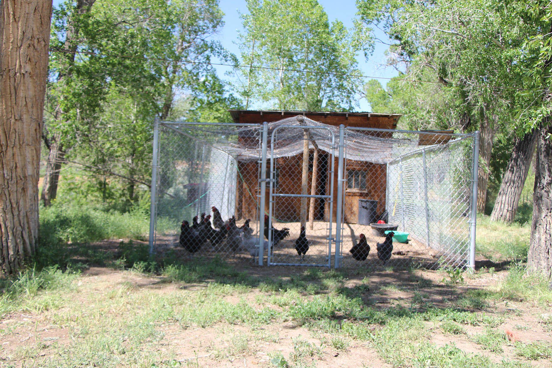 Wyoming Horse Ranch property picture 18 of 76