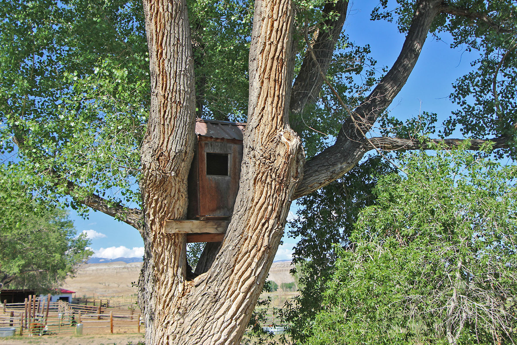 Wyoming Horse Ranch property picture 7 of 76