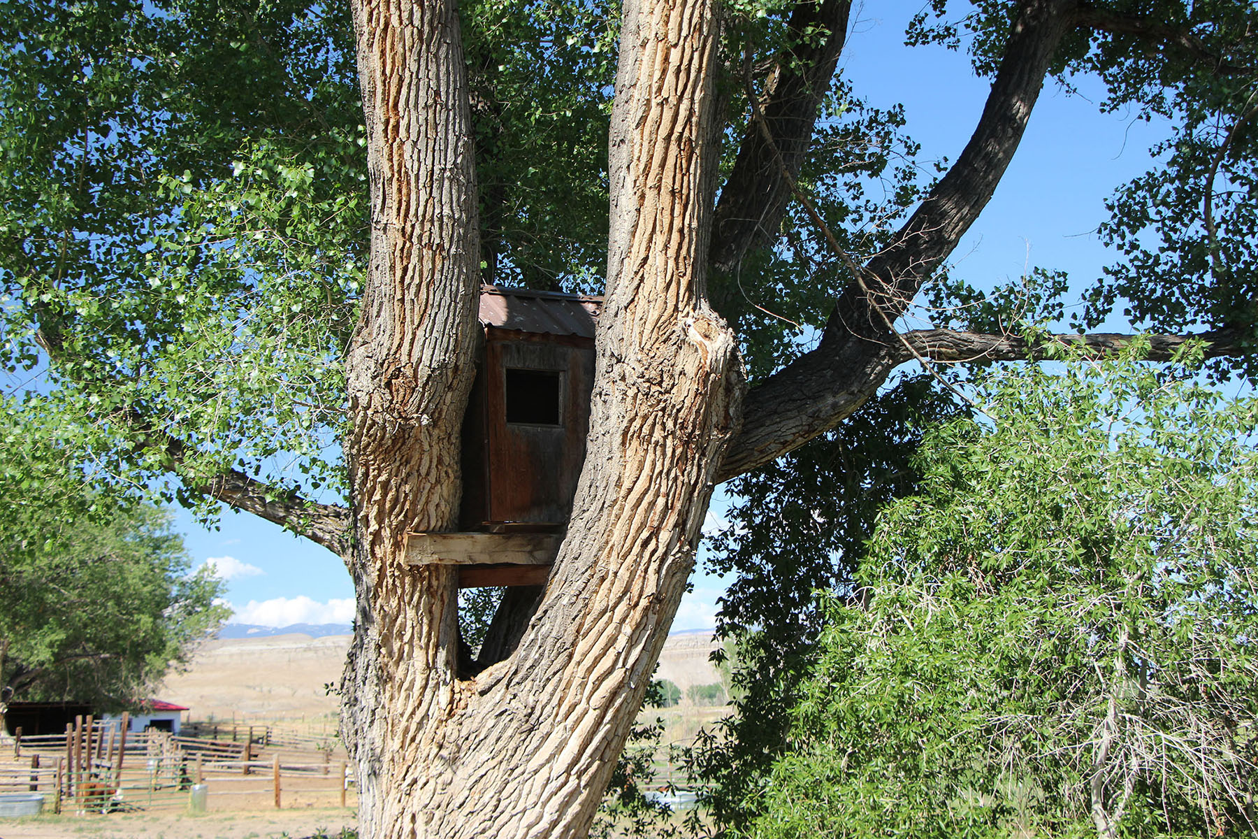 Wyoming Horse Ranch property picture 6 of 76