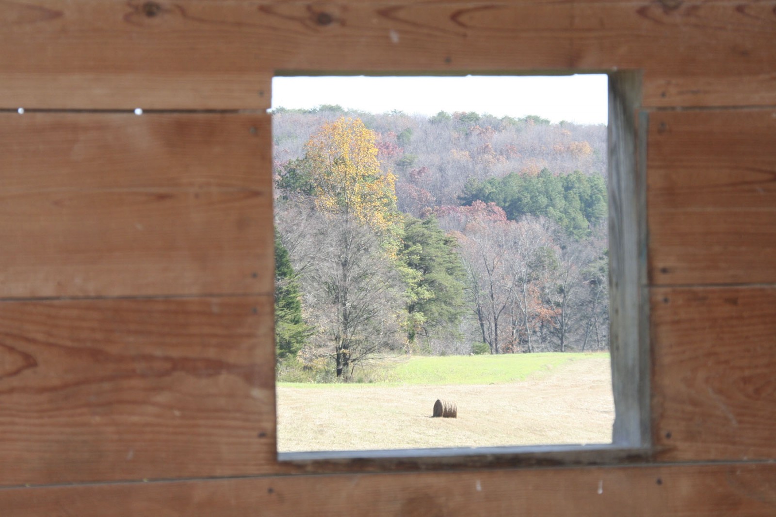 Back Valley Farm property picture 8 of 30