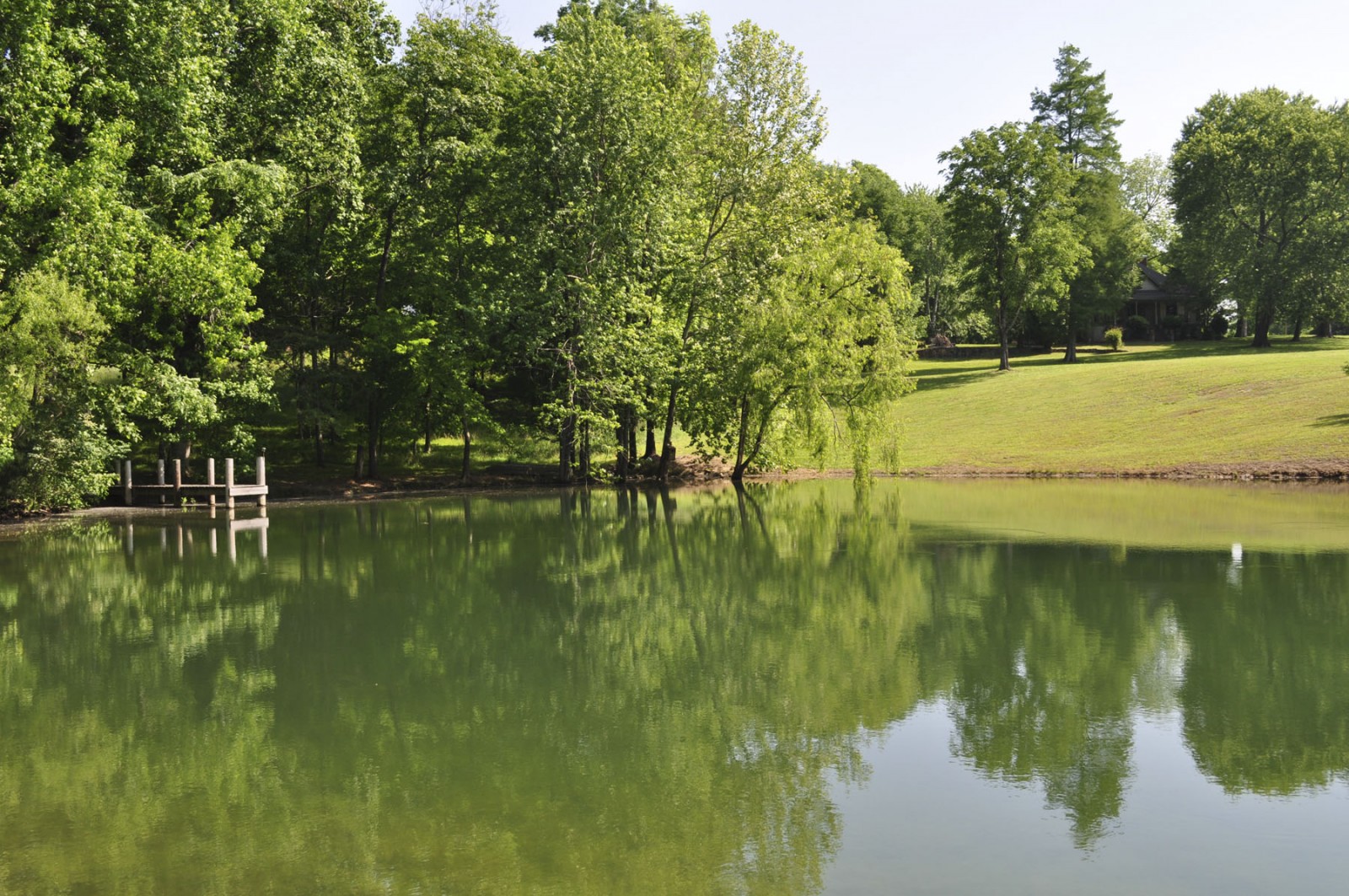 Back Valley Farm property picture 4 of 30