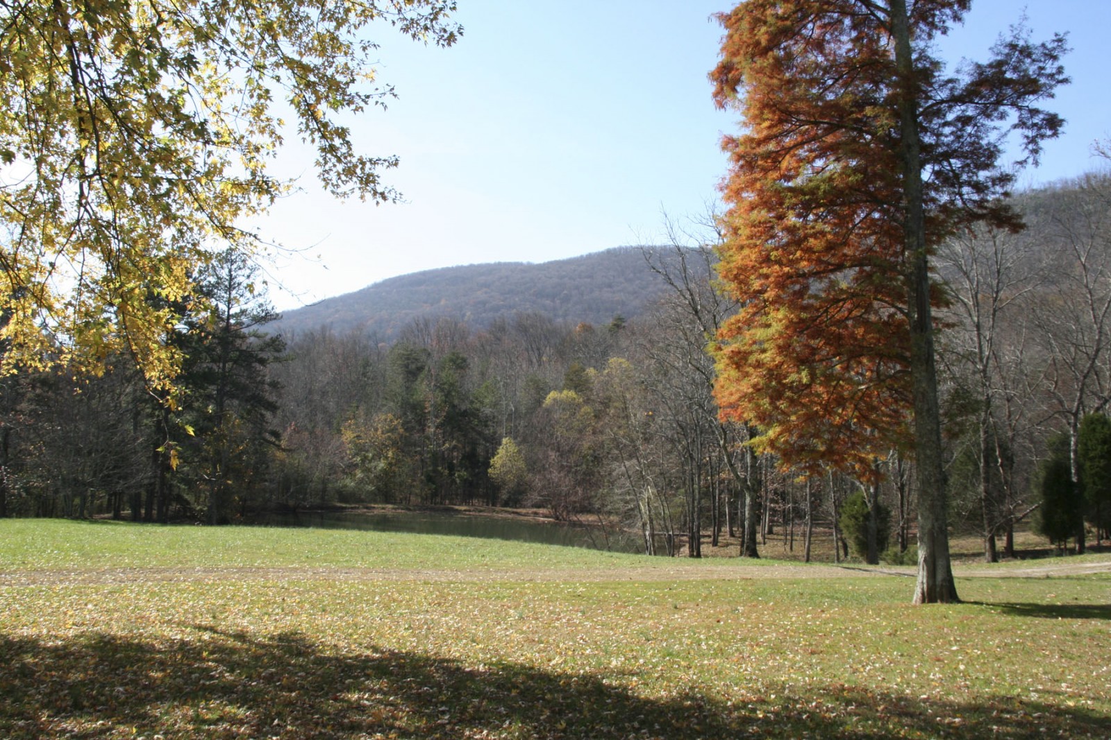 Back Valley Farm property picture 22 of 30