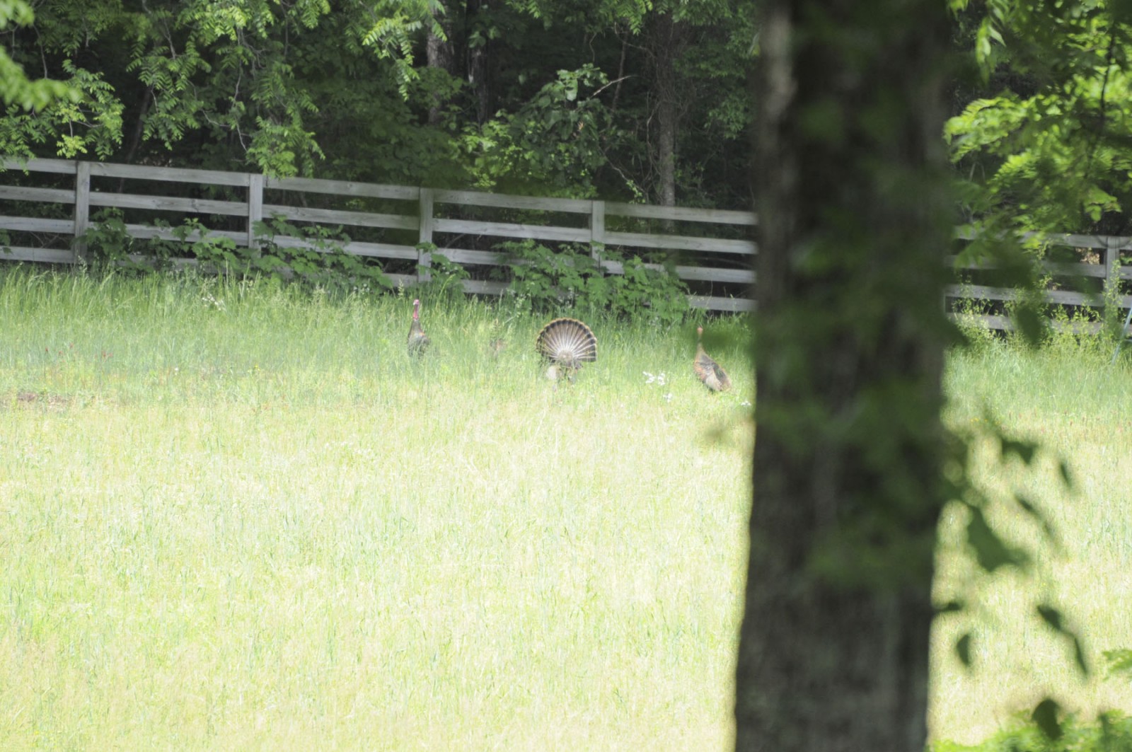 Back Valley Farm property picture 28 of 30