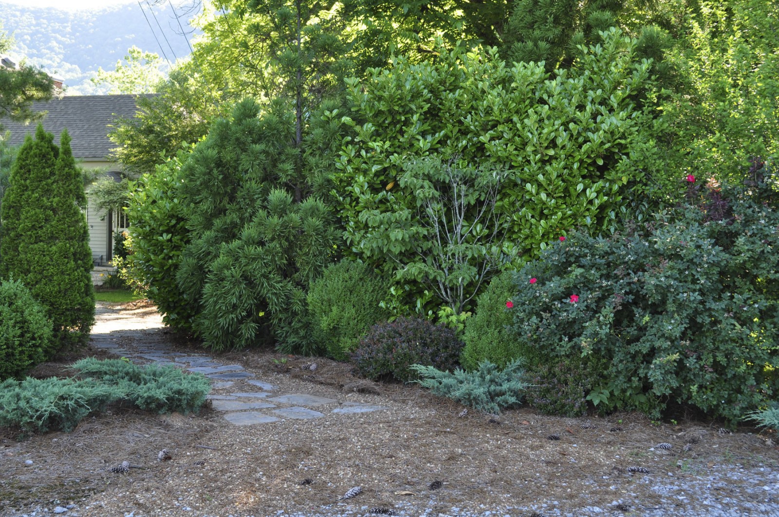 Back Valley Farm property picture 21 of 30