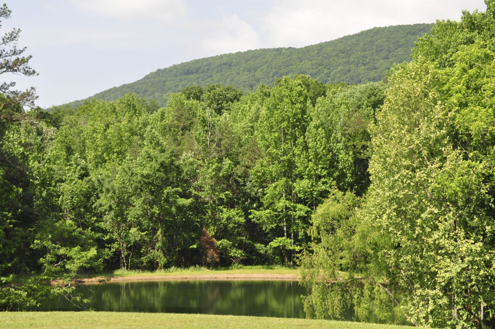 Back Valley Farm property picture 6 of 30