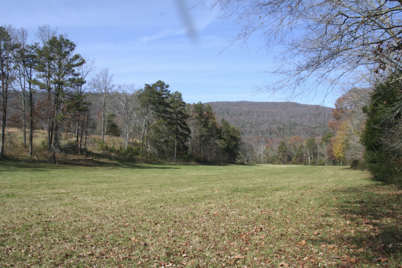 Back Valley Farm property picture 30 of 30