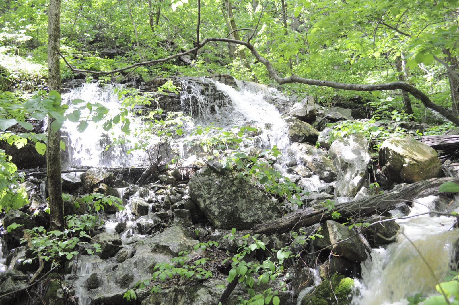 Back Valley Farm property picture 26 of 30