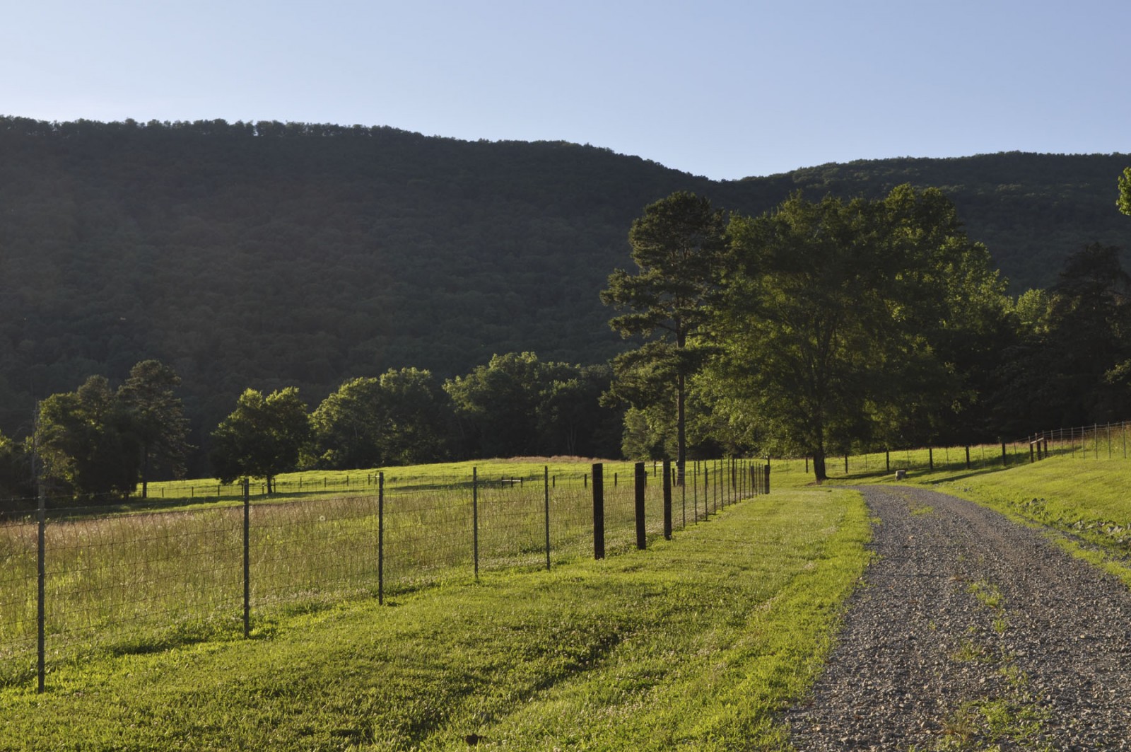 Back Valley Farm property picture 24 of 30