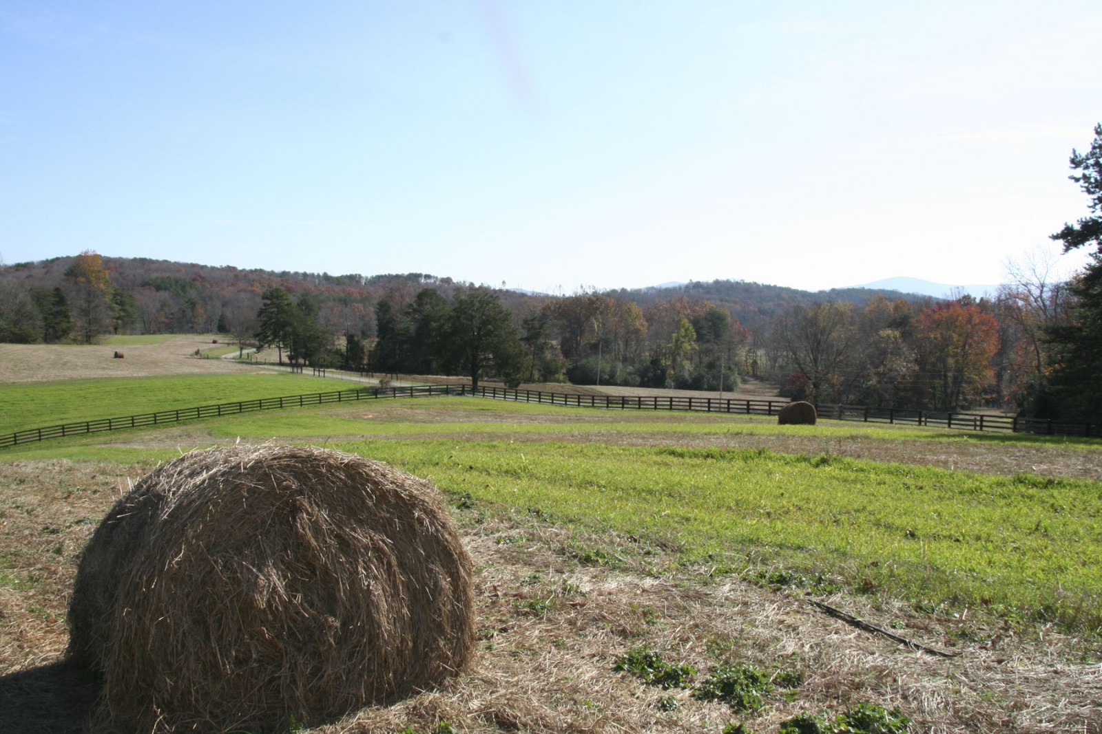 Back Valley Farm property picture 25 of 30