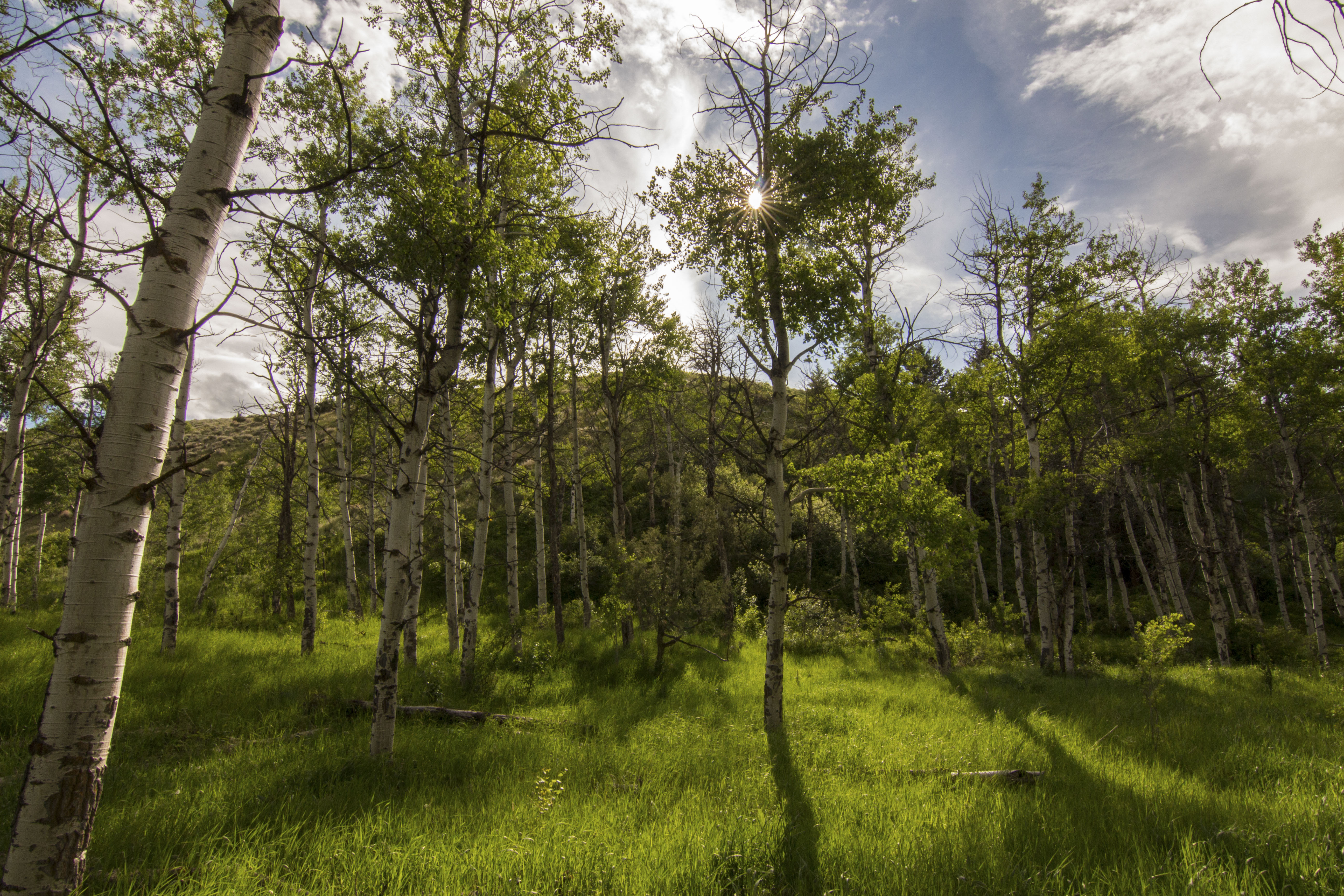 Sphinx Mountain Ranch property picture 47 of 92