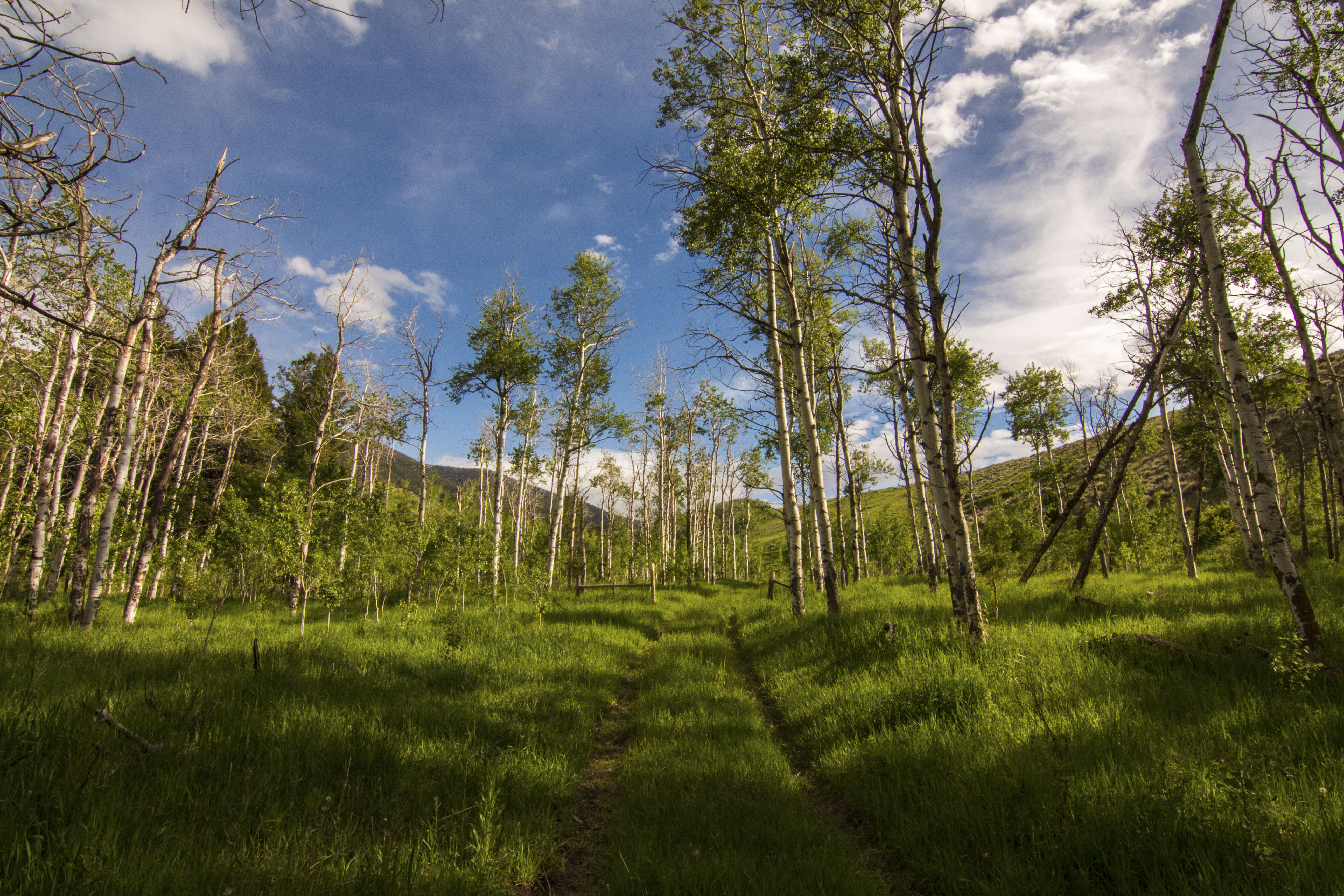 Sphinx Mountain Ranch property picture 90 of 92