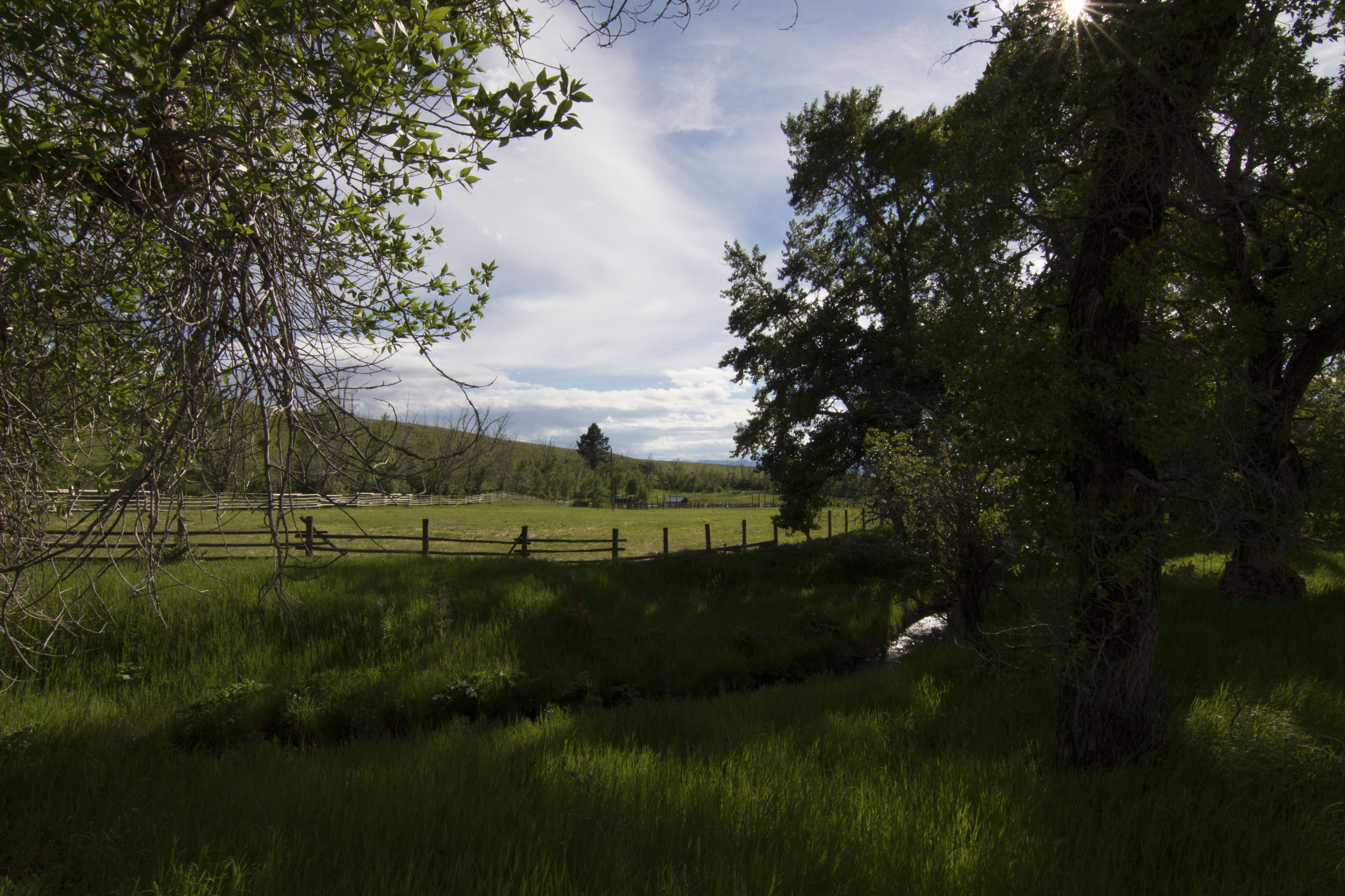 Sphinx Mountain Ranch property picture 89 of 92