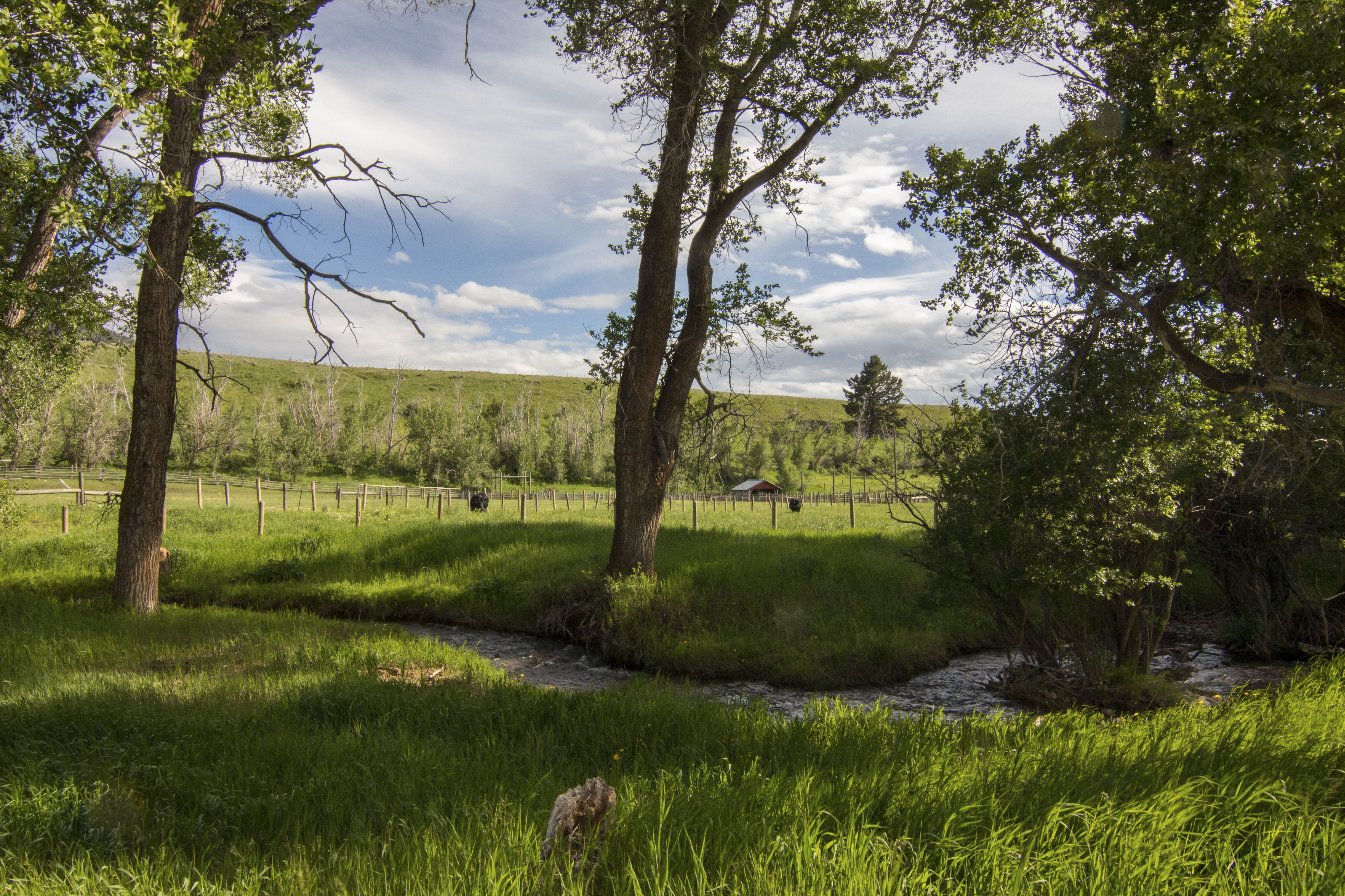 Sphinx Mountain Ranch property picture 87 of 92