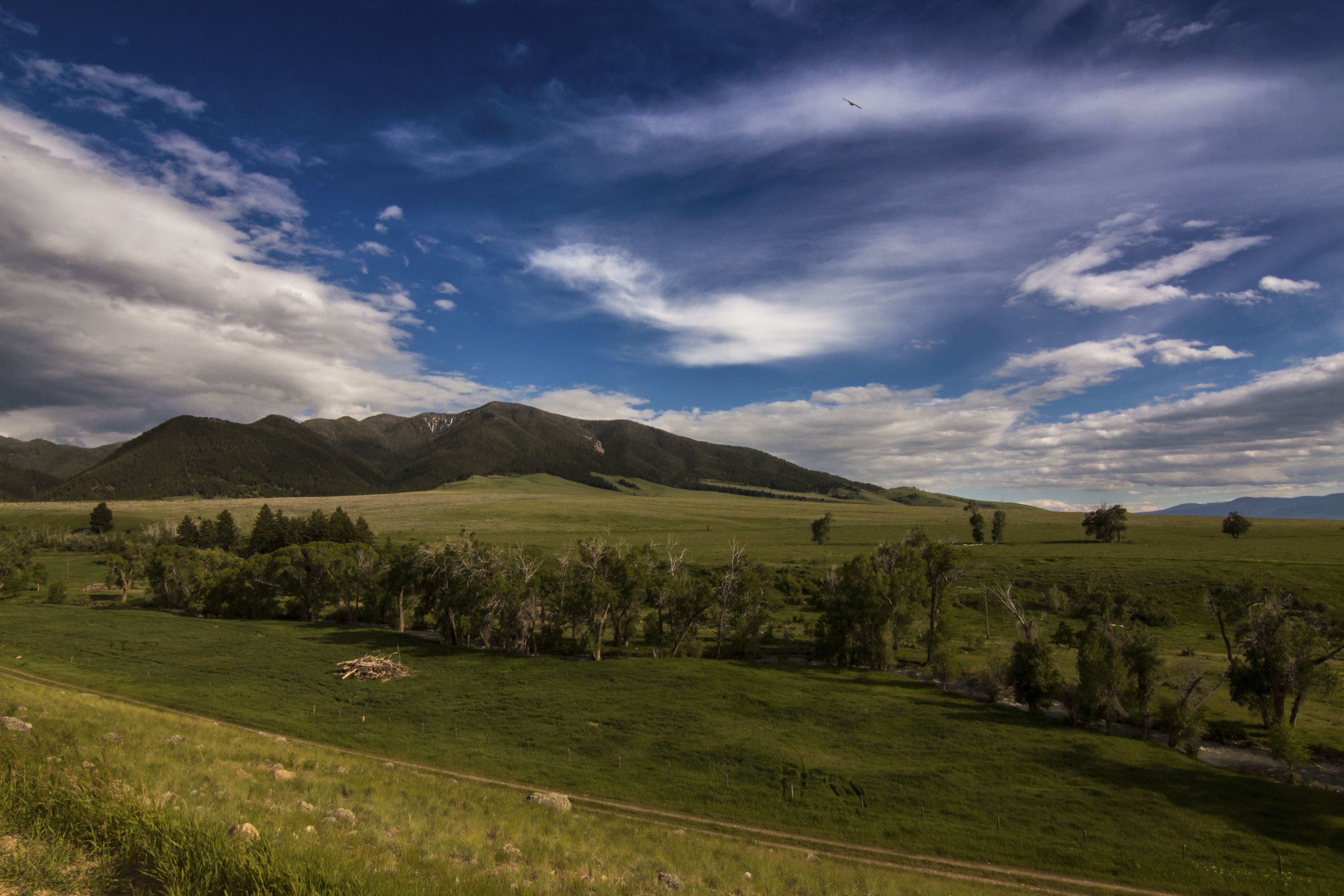 Sphinx Mountain Ranch property picture 86 of 92