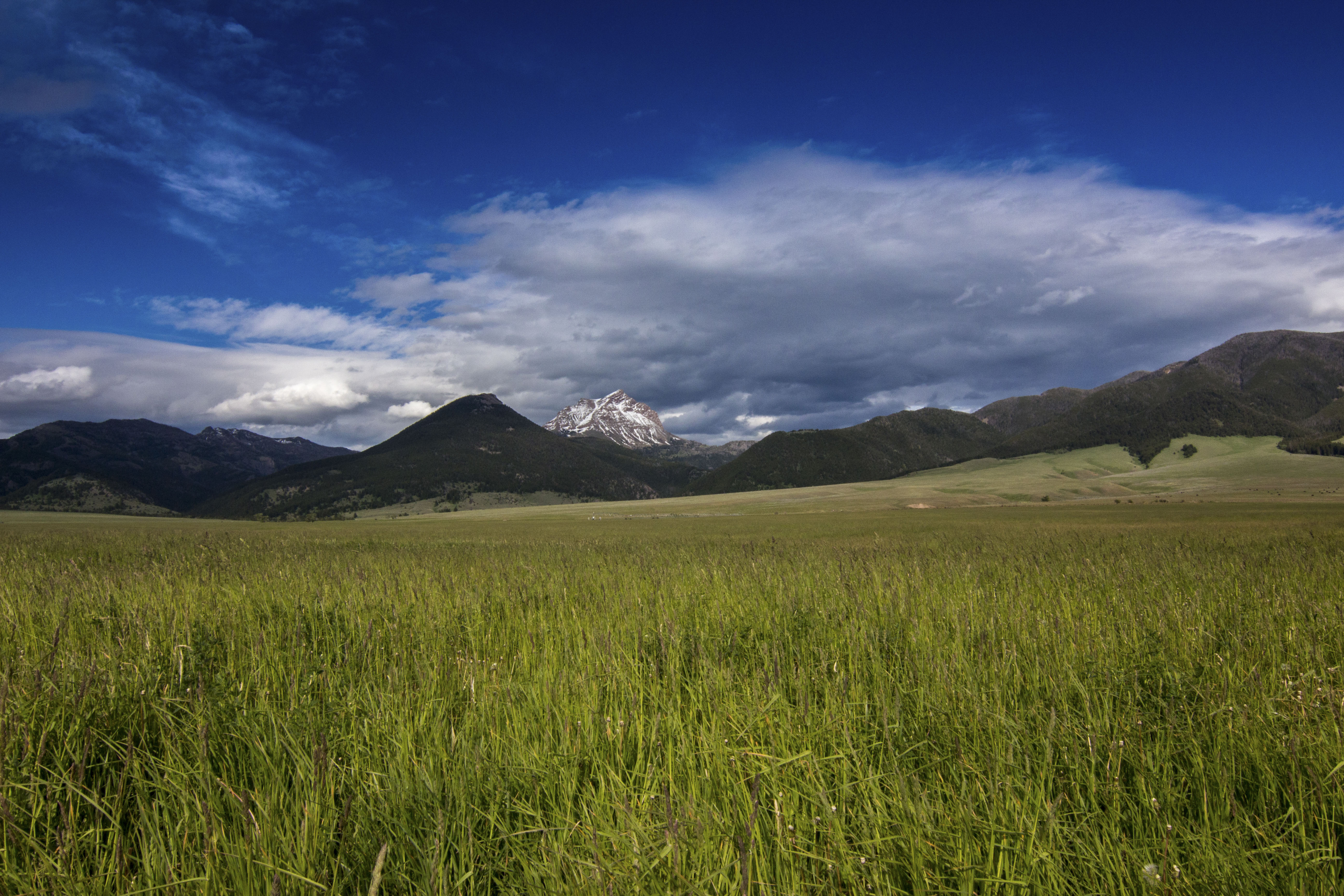 Sphinx Mountain Ranch property picture 83 of 92