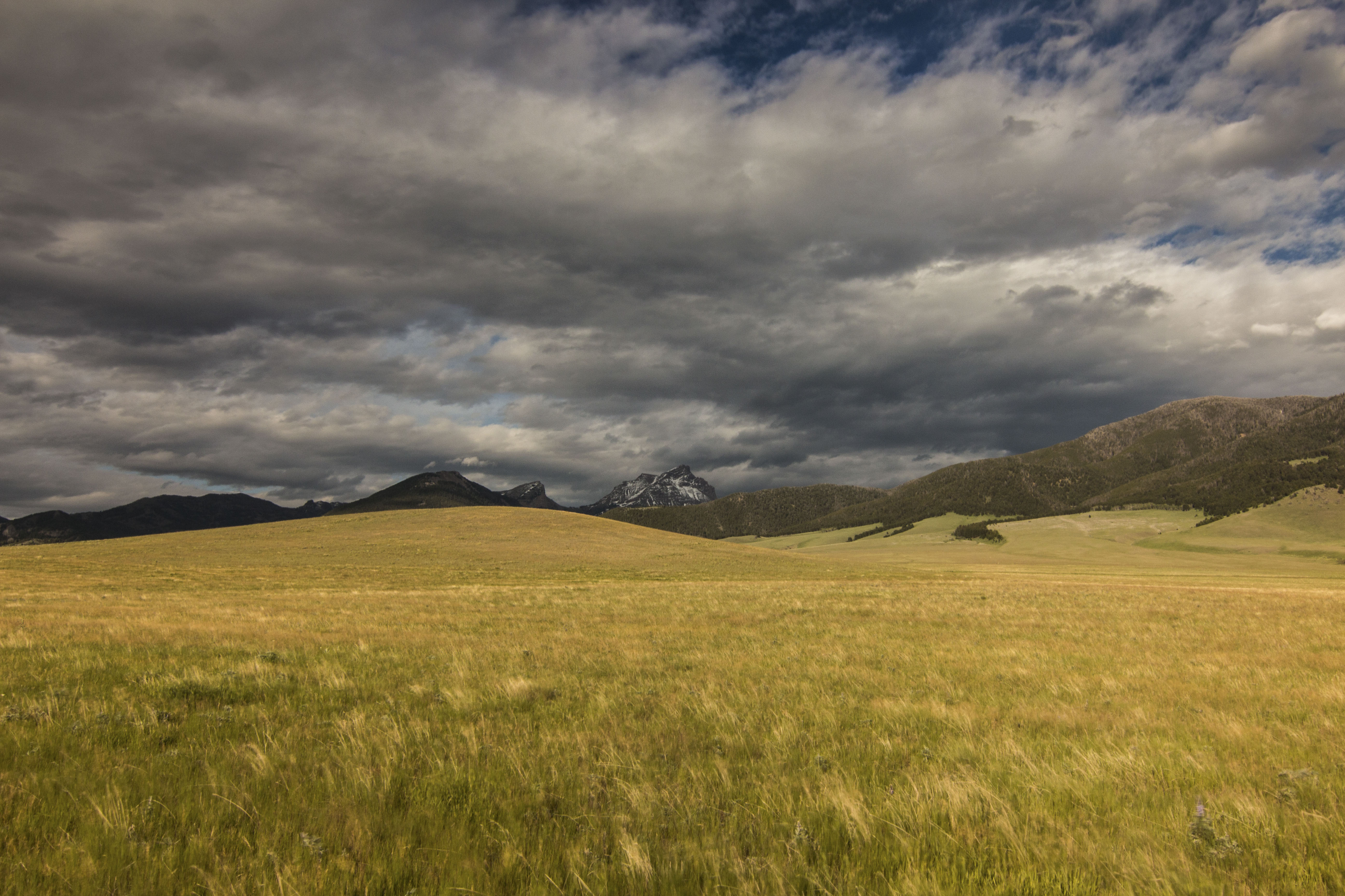 Sphinx Mountain Ranch property picture 79 of 92