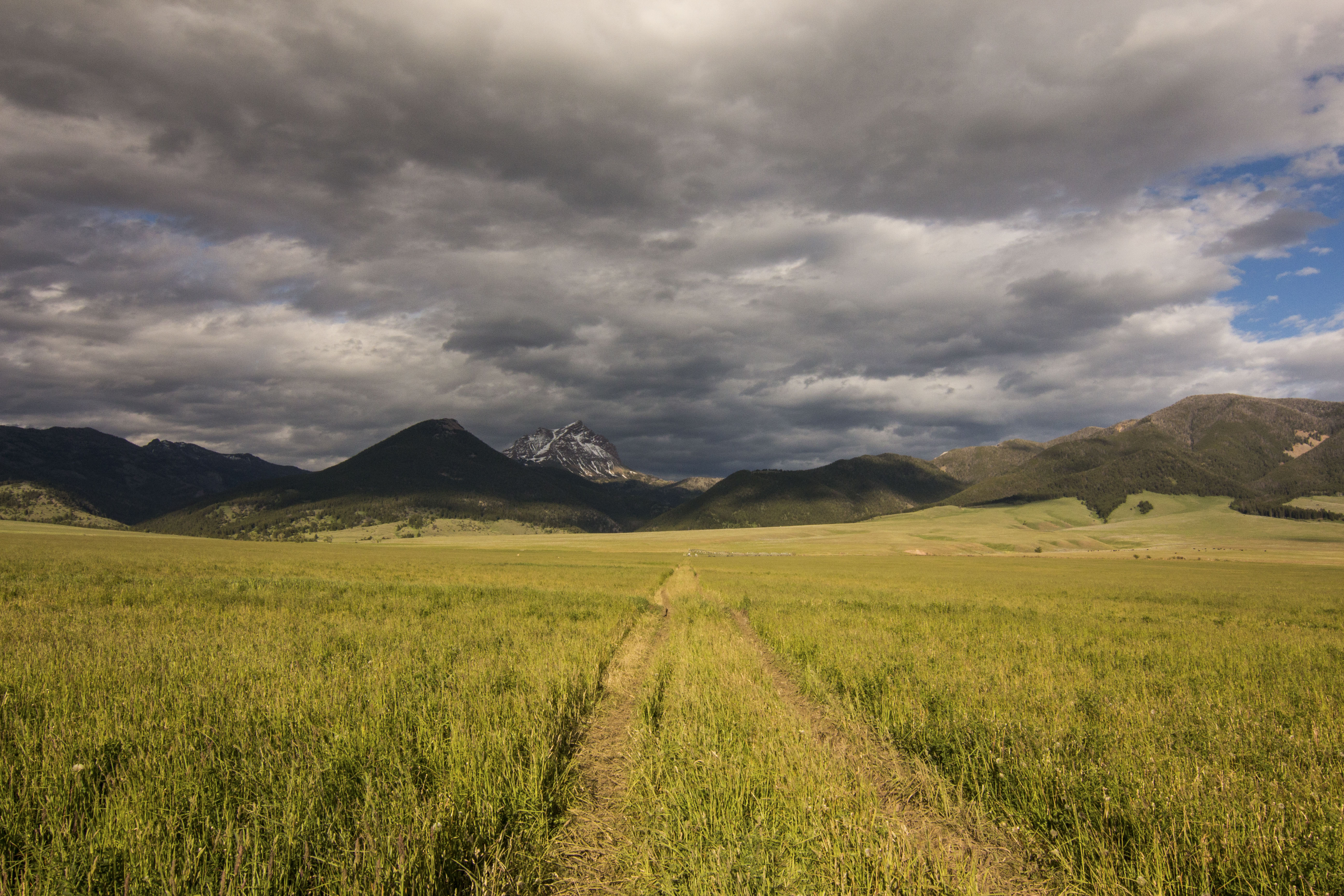 Sphinx Mountain Ranch property picture 77 of 92