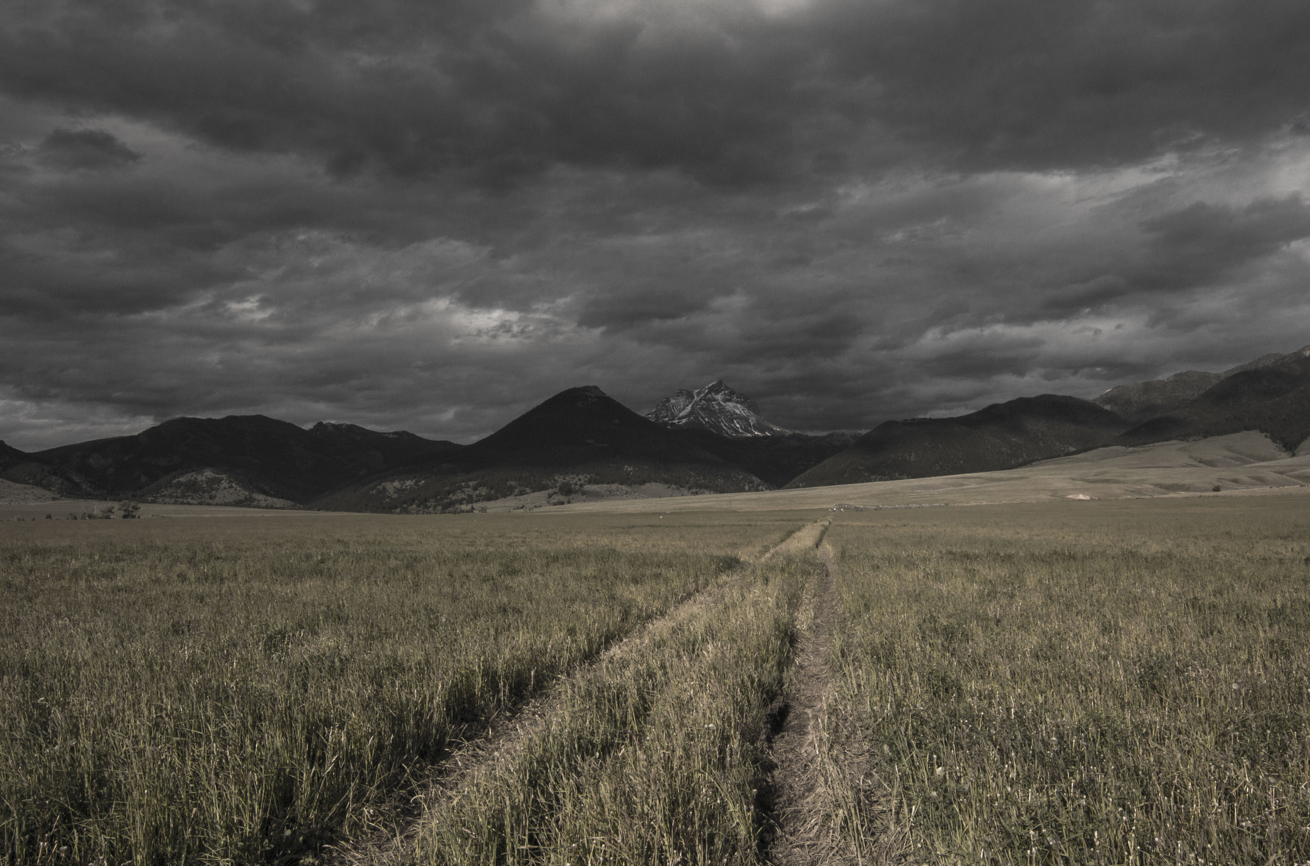 Sphinx Mountain Ranch property picture 76 of 92