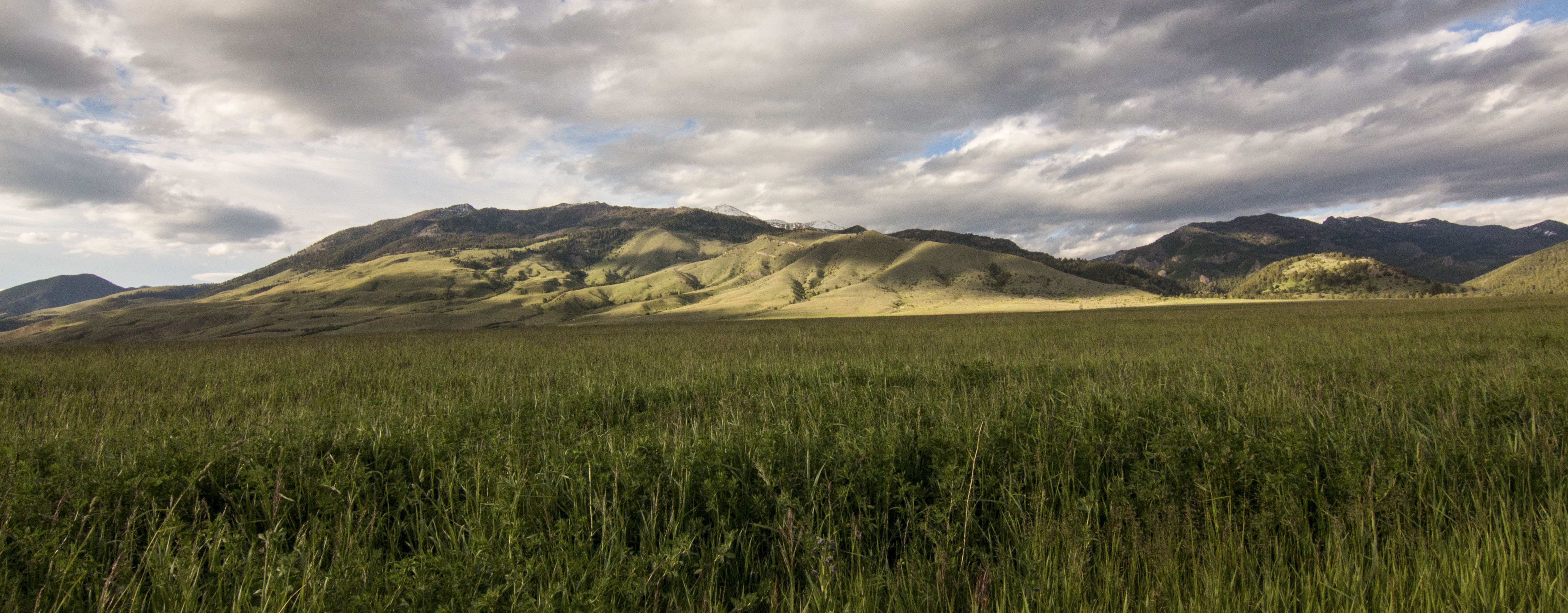 Sphinx Mountain Ranch property picture 75 of 92