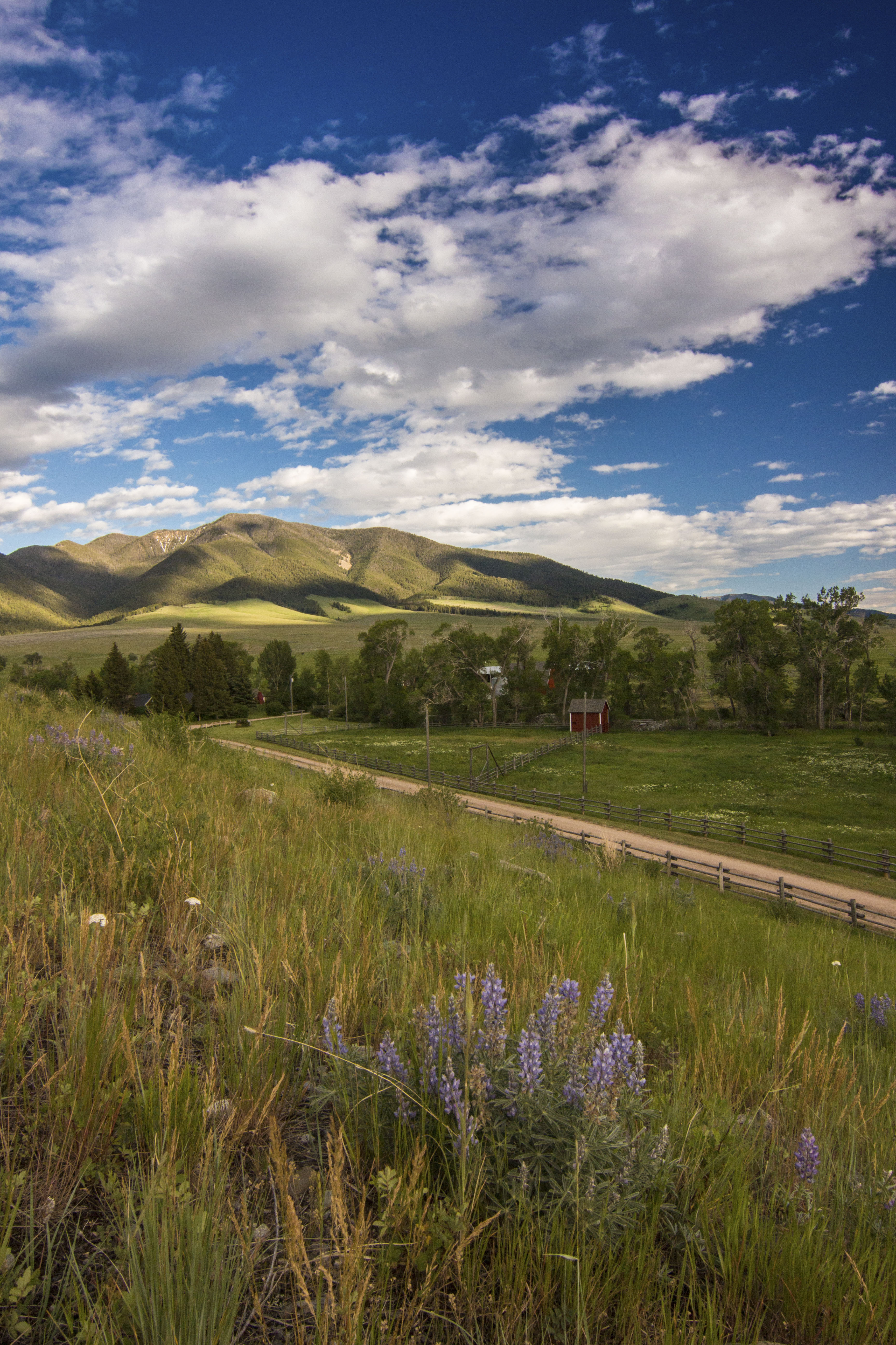 Sphinx Mountain Ranch property picture 74 of 92