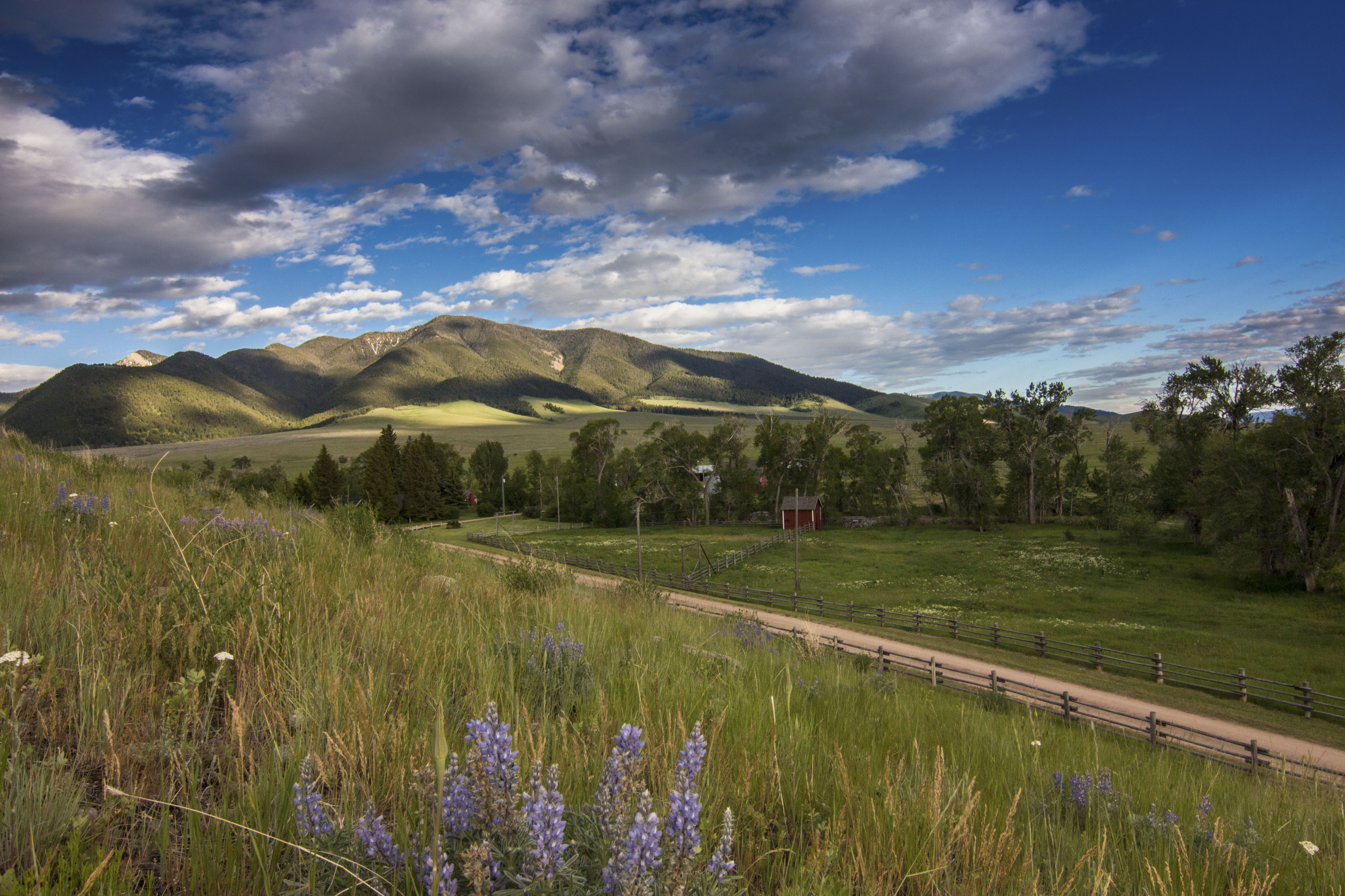 Sphinx Mountain Ranch property picture 92 of 92