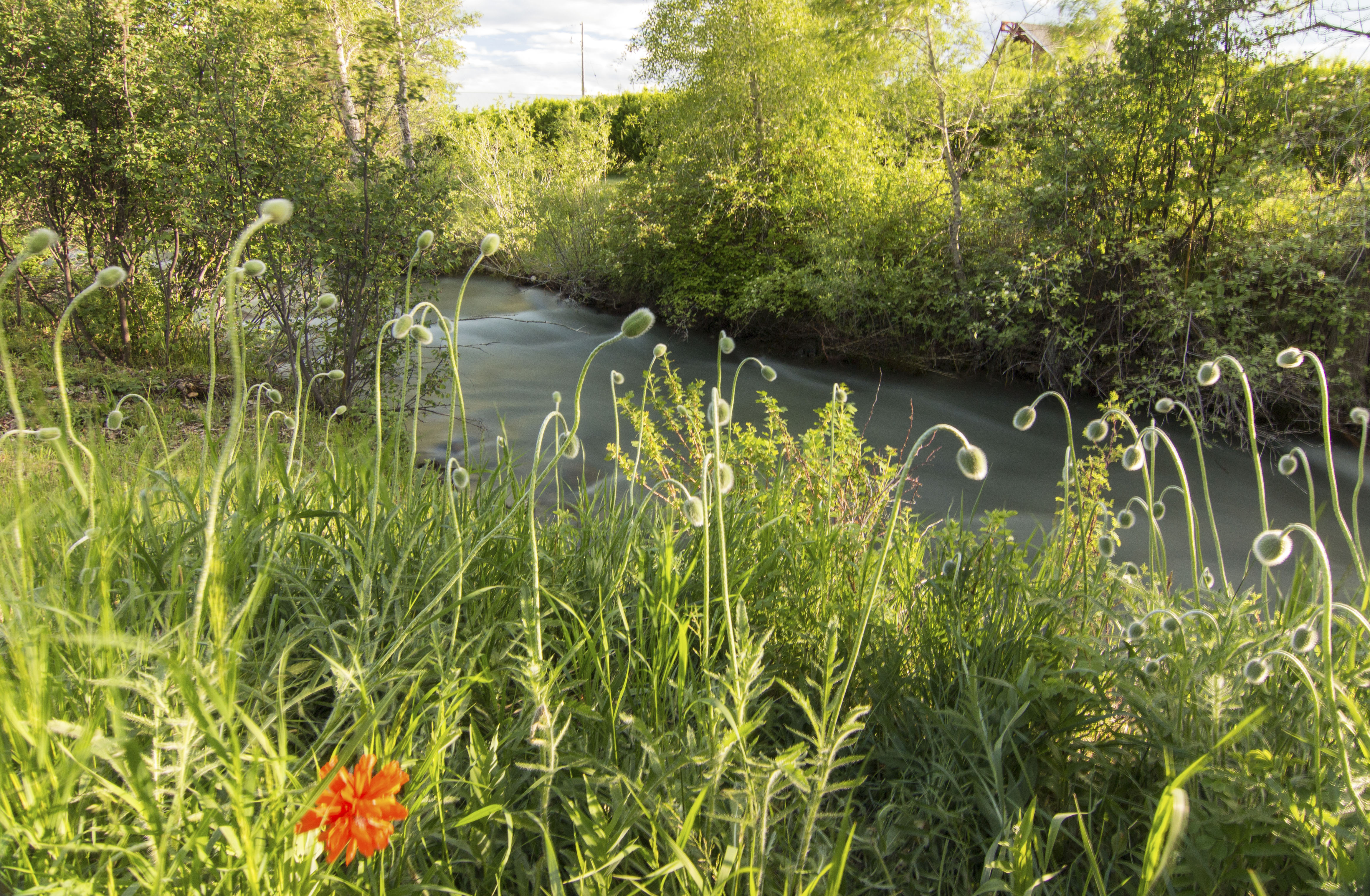 Sphinx Mountain Ranch property picture 63 of 92