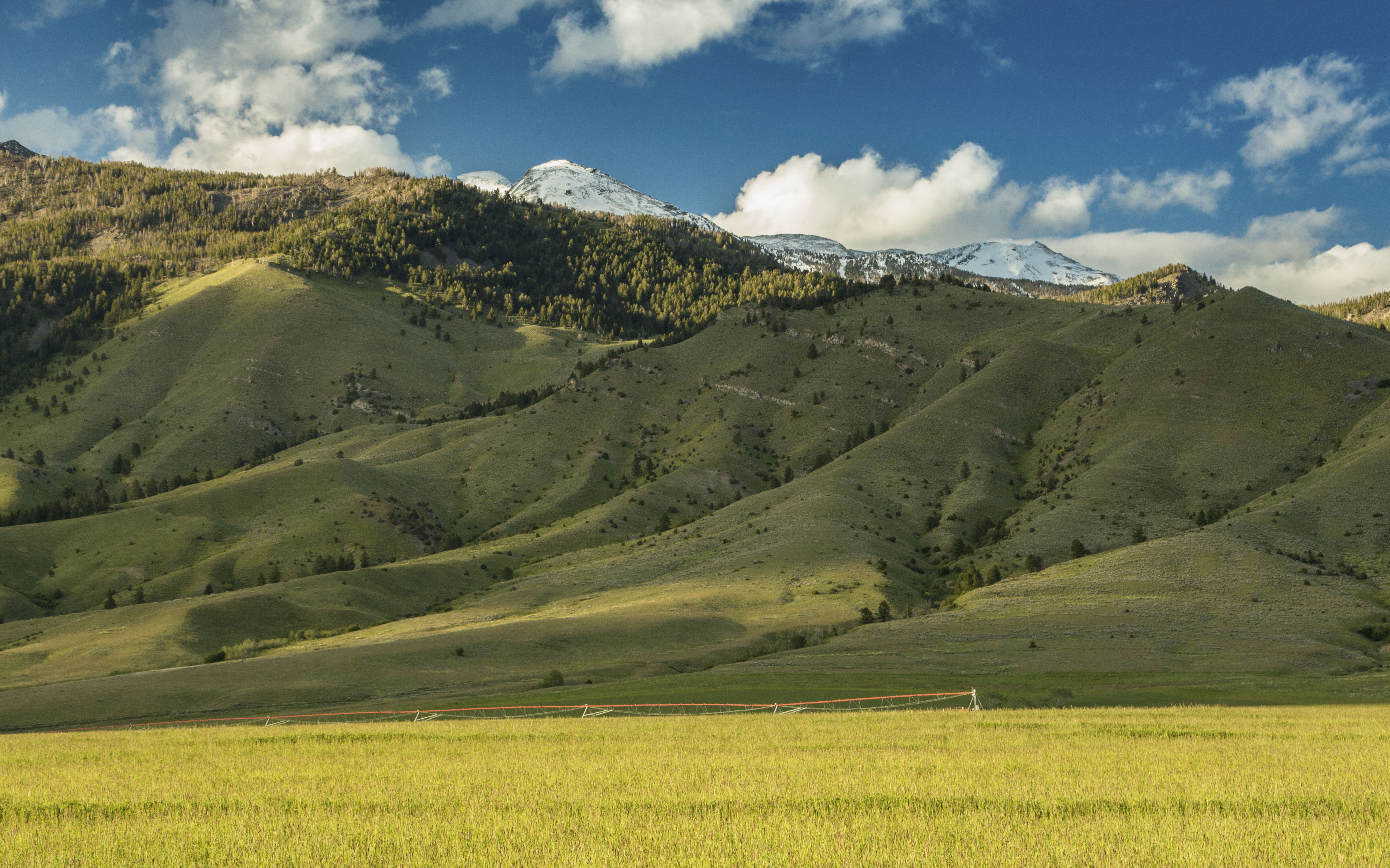 Sphinx Mountain Ranch property picture 61 of 92