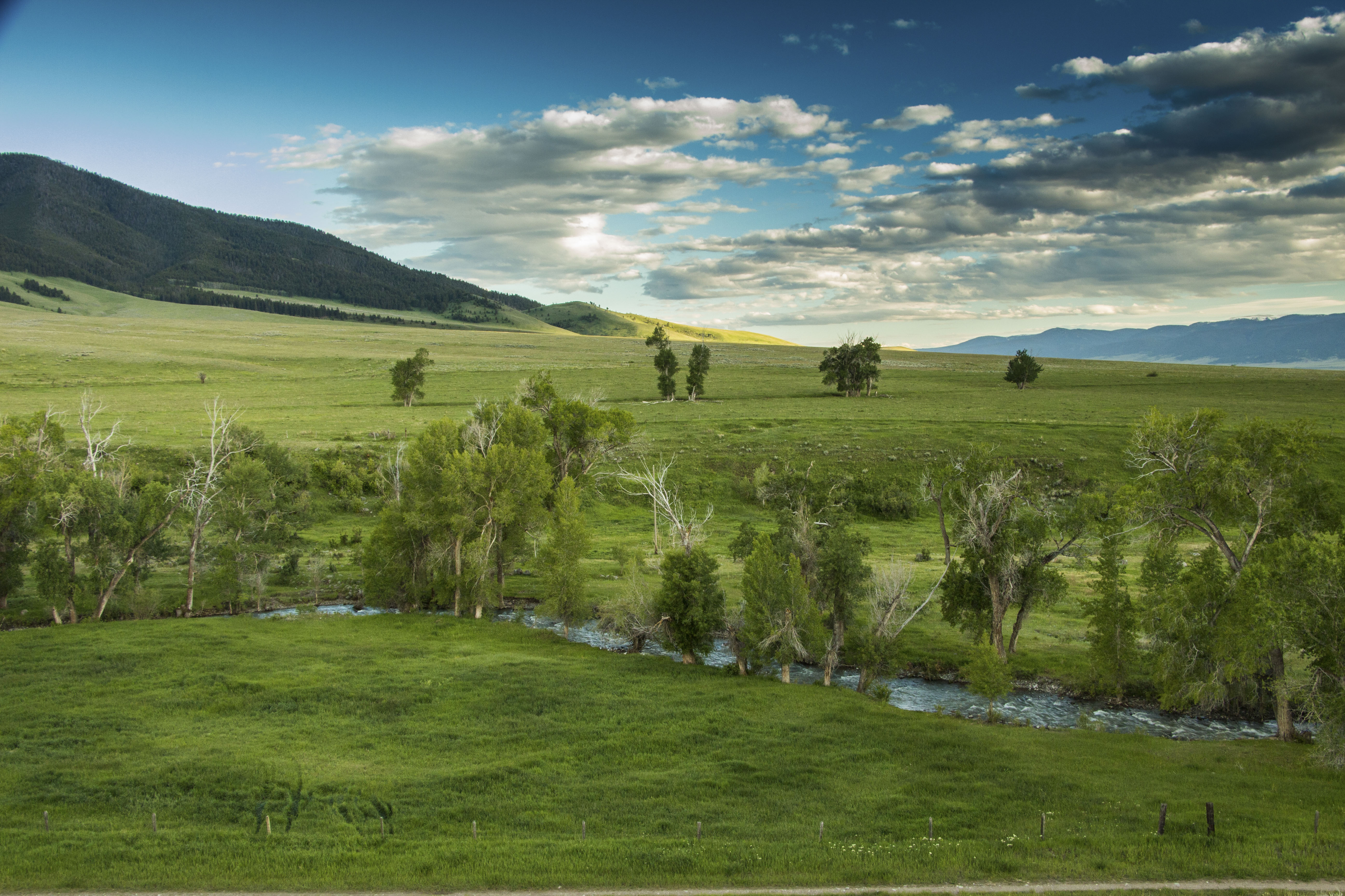 Sphinx Mountain Ranch property picture 60 of 92