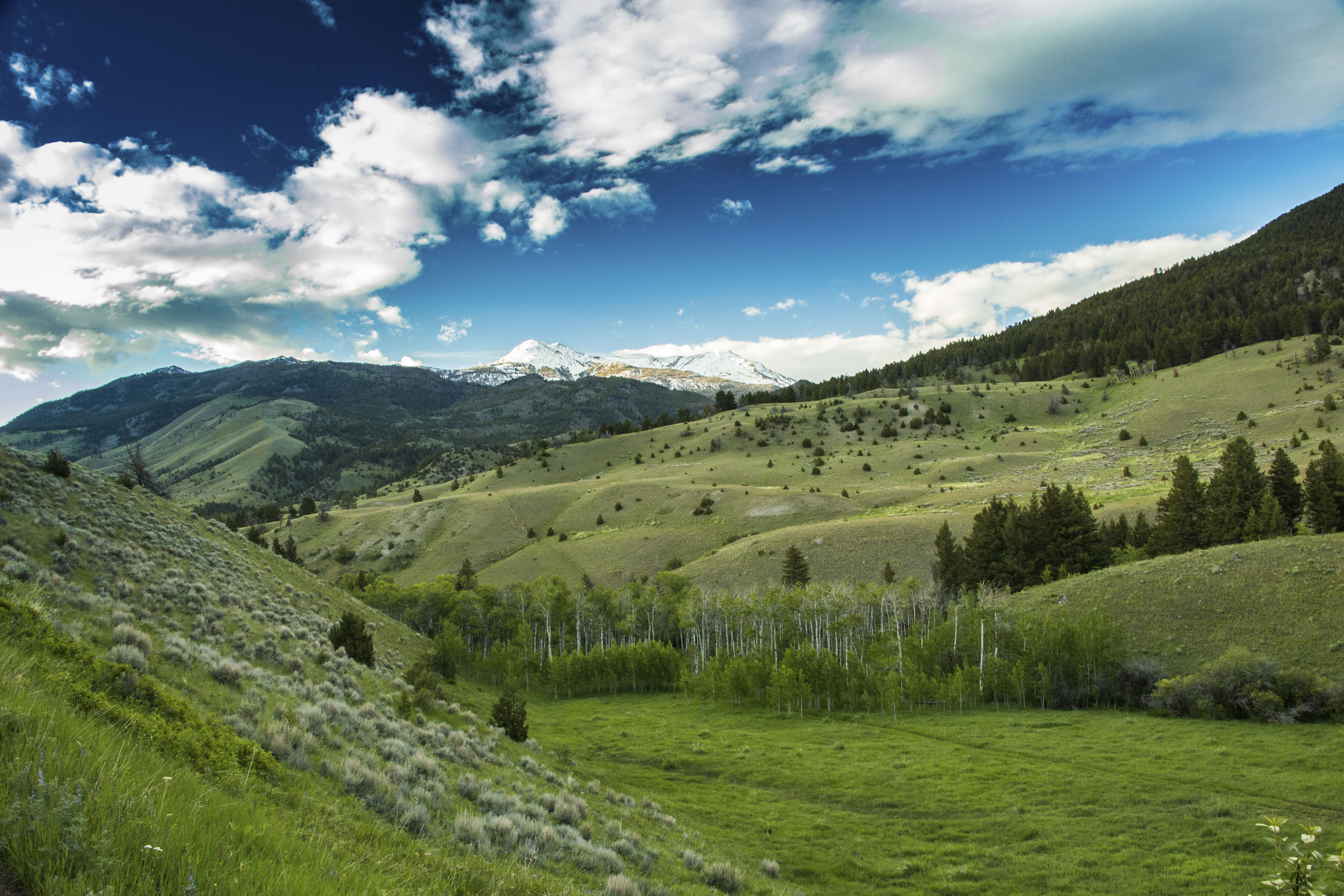 Sphinx Mountain Ranch property picture 59 of 92