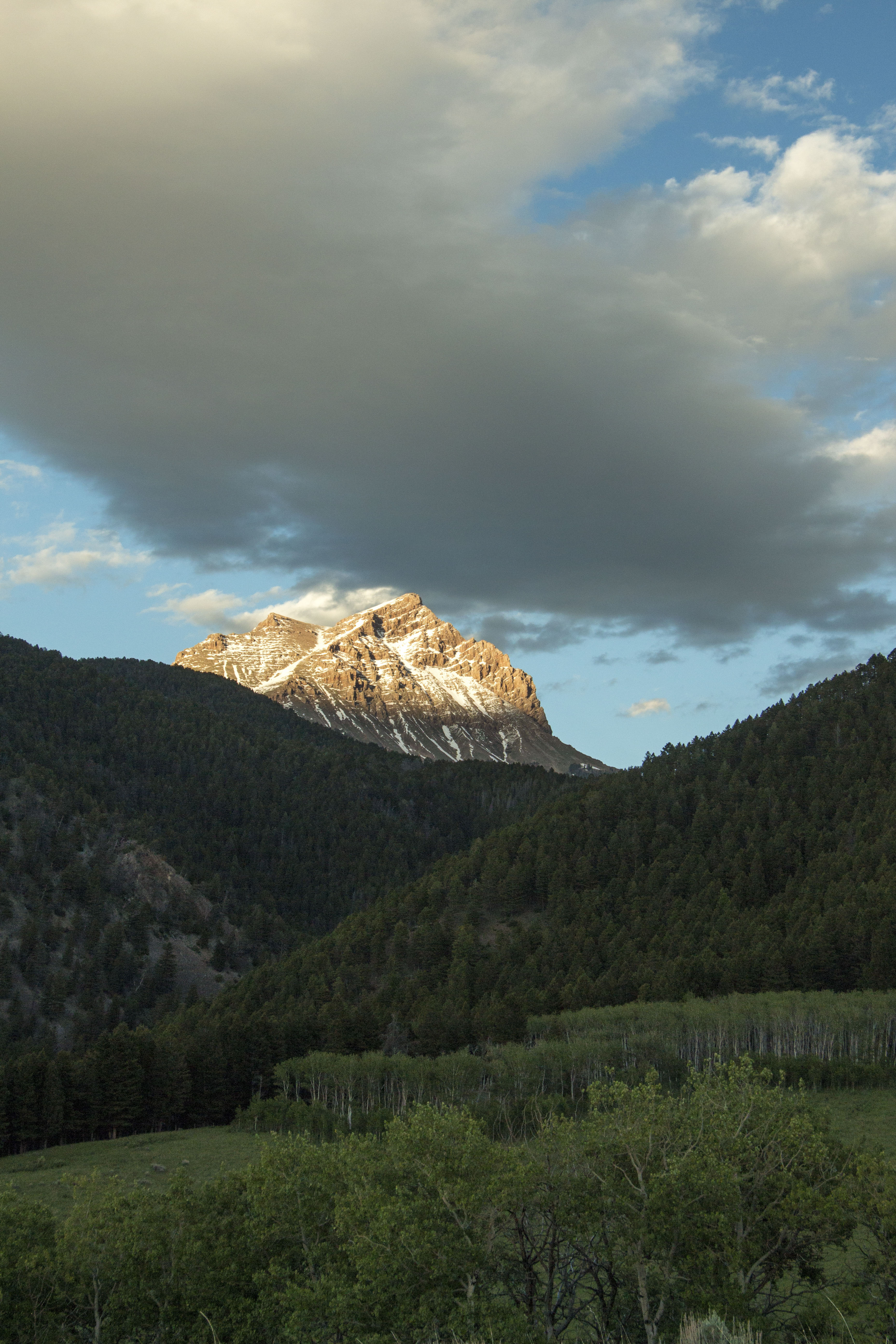 Sphinx Mountain Ranch property picture 58 of 92
