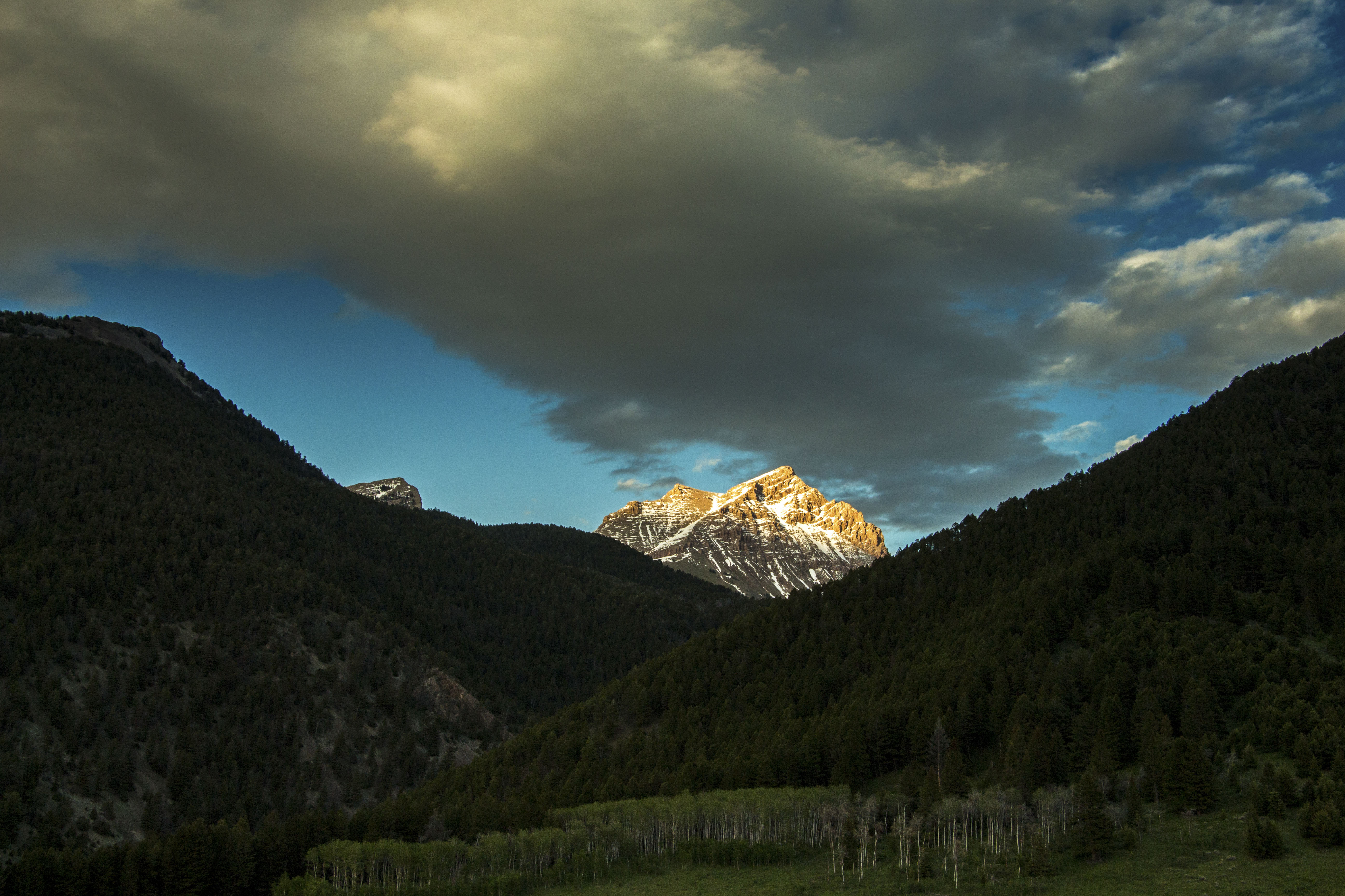 Sphinx Mountain Ranch property picture 54 of 92