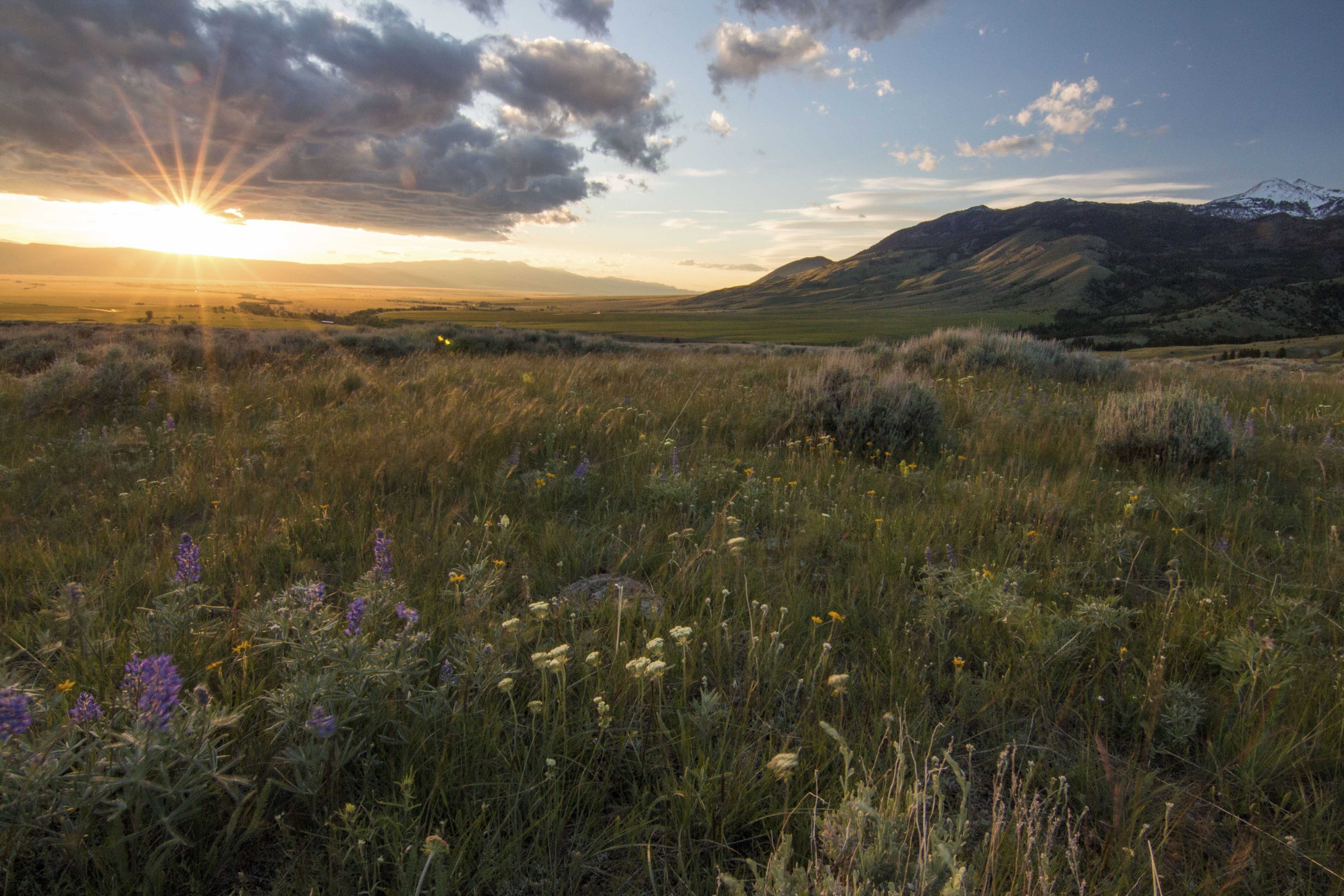 Sphinx Mountain Ranch property picture 48 of 92