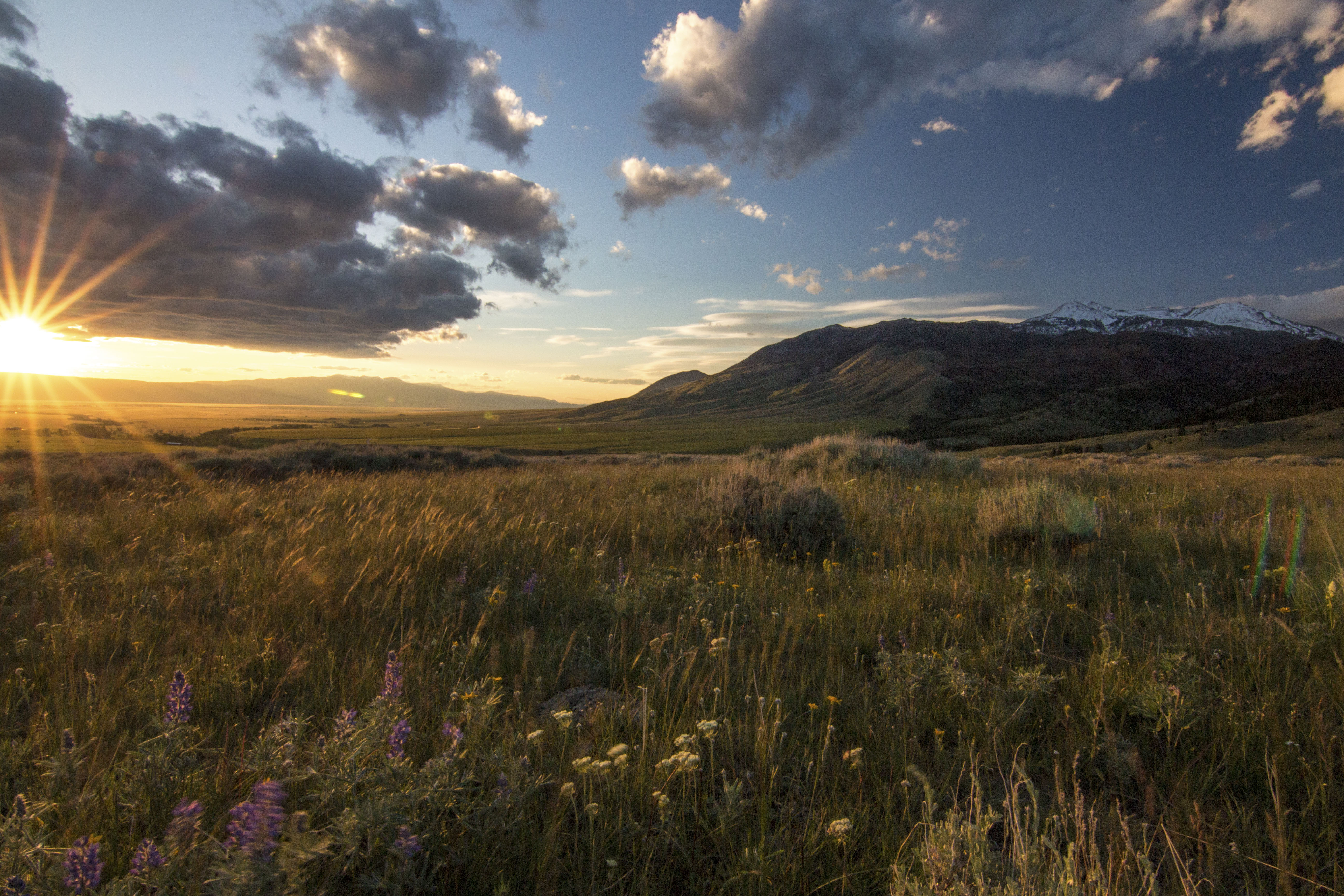 Sphinx Mountain Ranch property picture 46 of 92