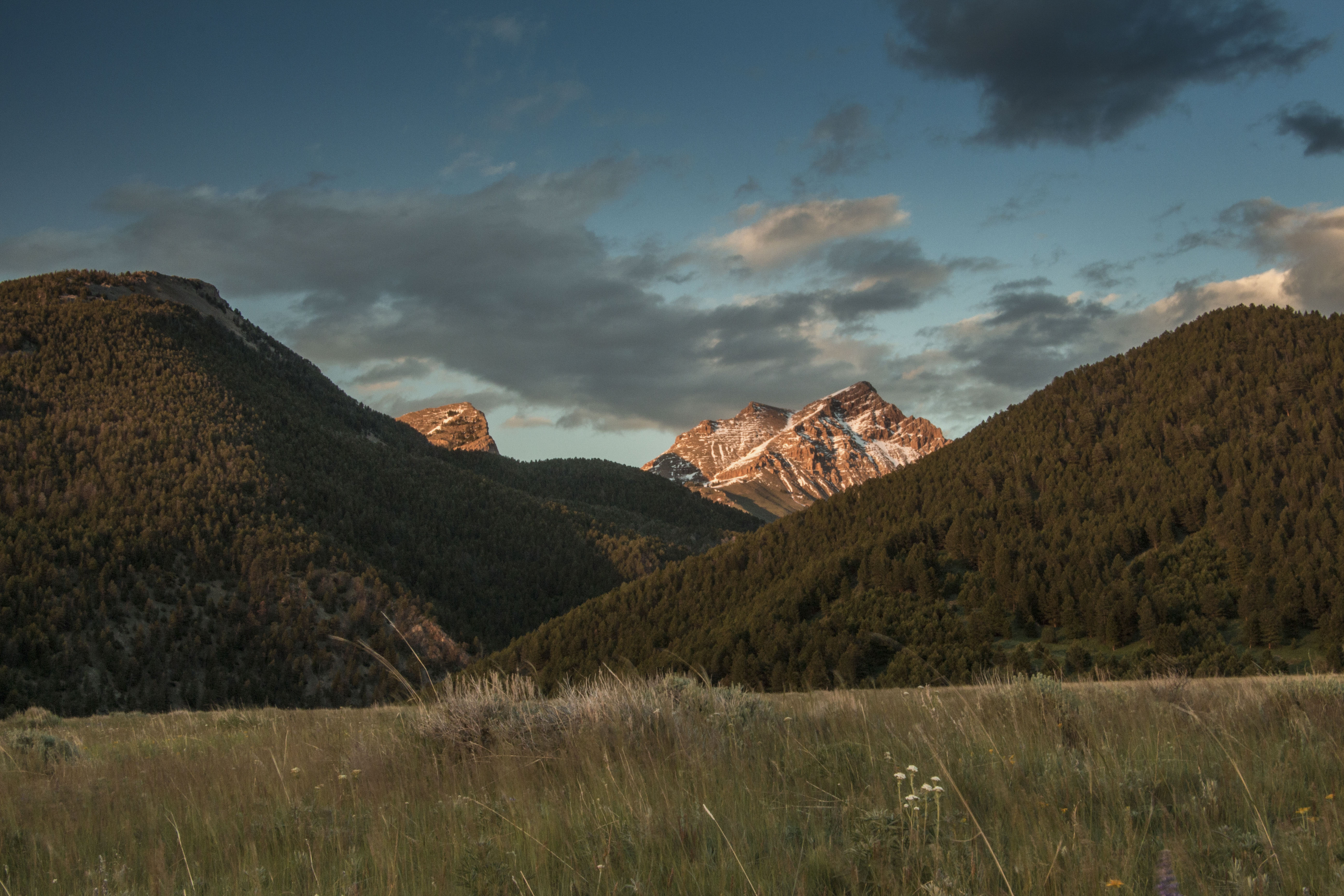 Sphinx Mountain Ranch property picture 40 of 92